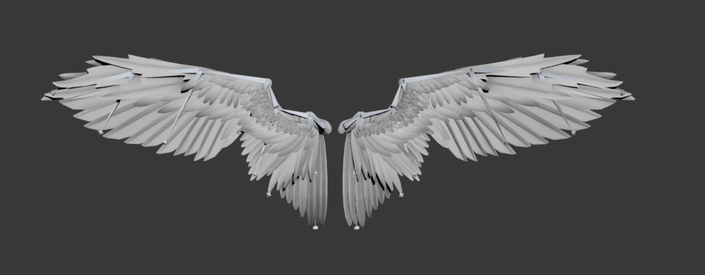 wings2.png