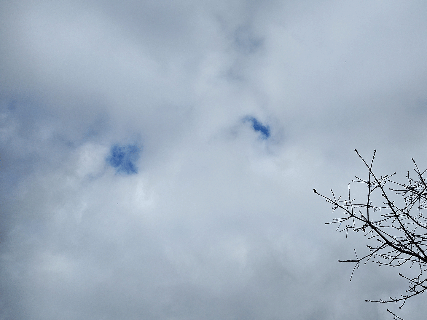 Hello from a slower pace