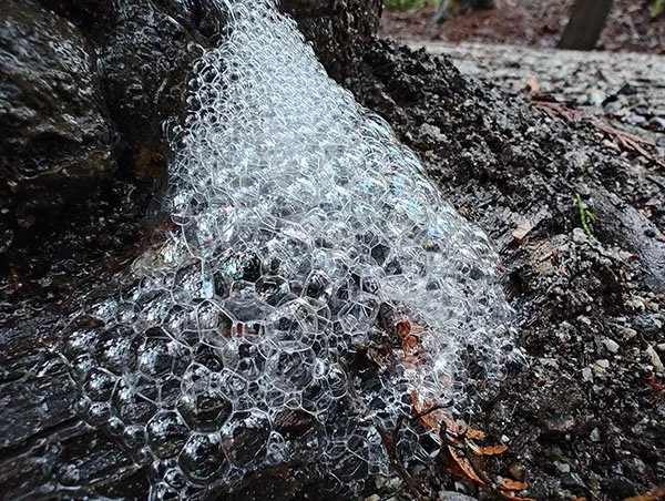 A pyramid of bubbles on the ground leaning against a wet tree.