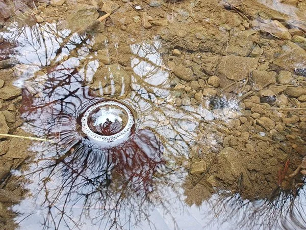 A reflection of trees in water that look like neurons. In the center of the reflected tree crown is a large bubble ringed by tiny bubbles. Reflected in the big bubble is a person and view of the sky.