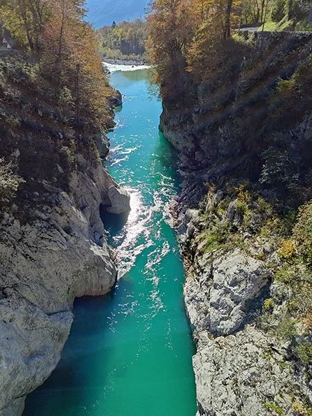 Ribbon of deep teal colored water between two cliffs of white stone with trees growing on top