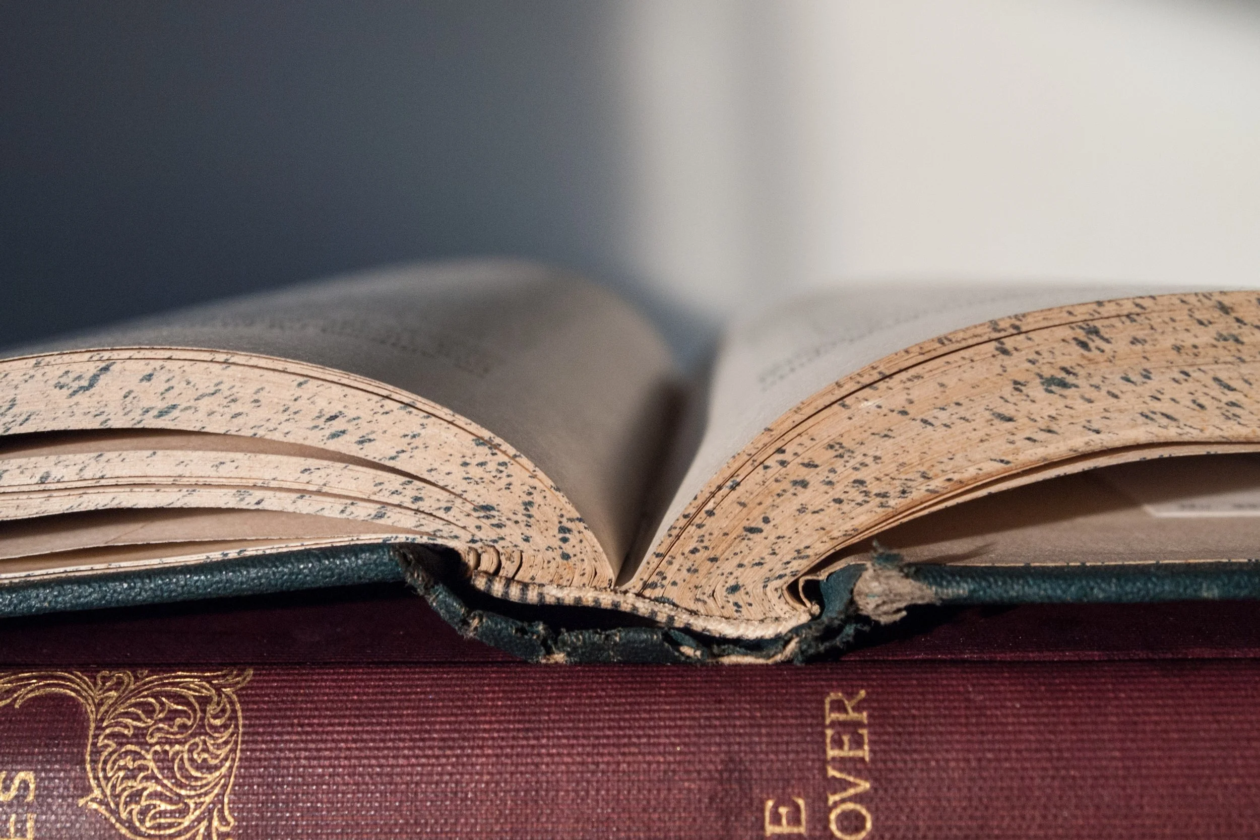It’s time to purge this phrase from your vocabulary…