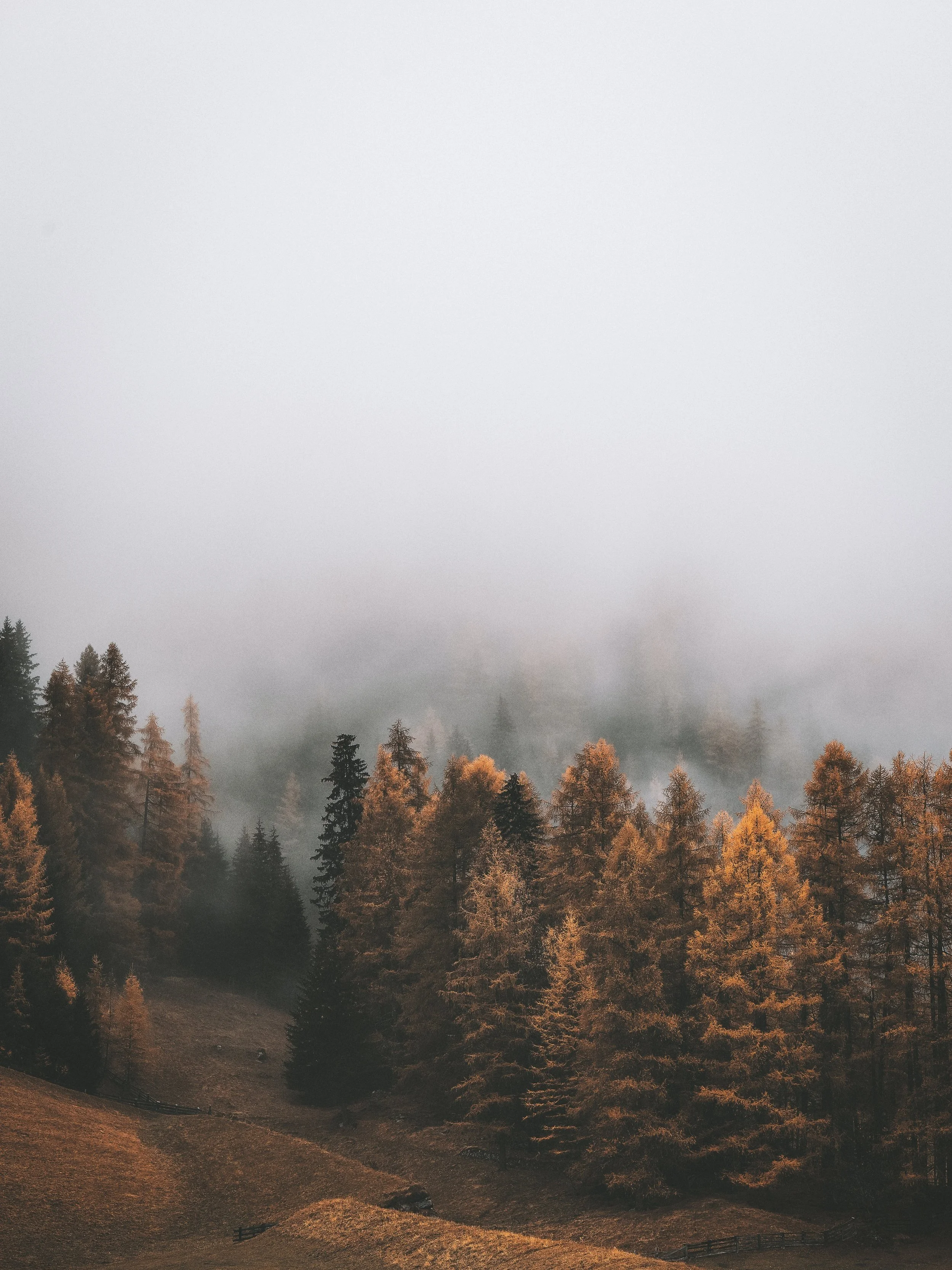 Navigate September with Wise Discernment