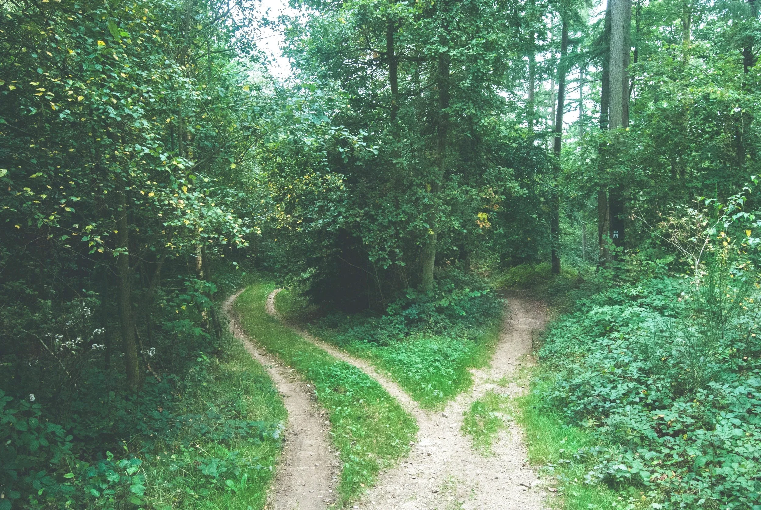 5 hacks to making powerful, effective decisions