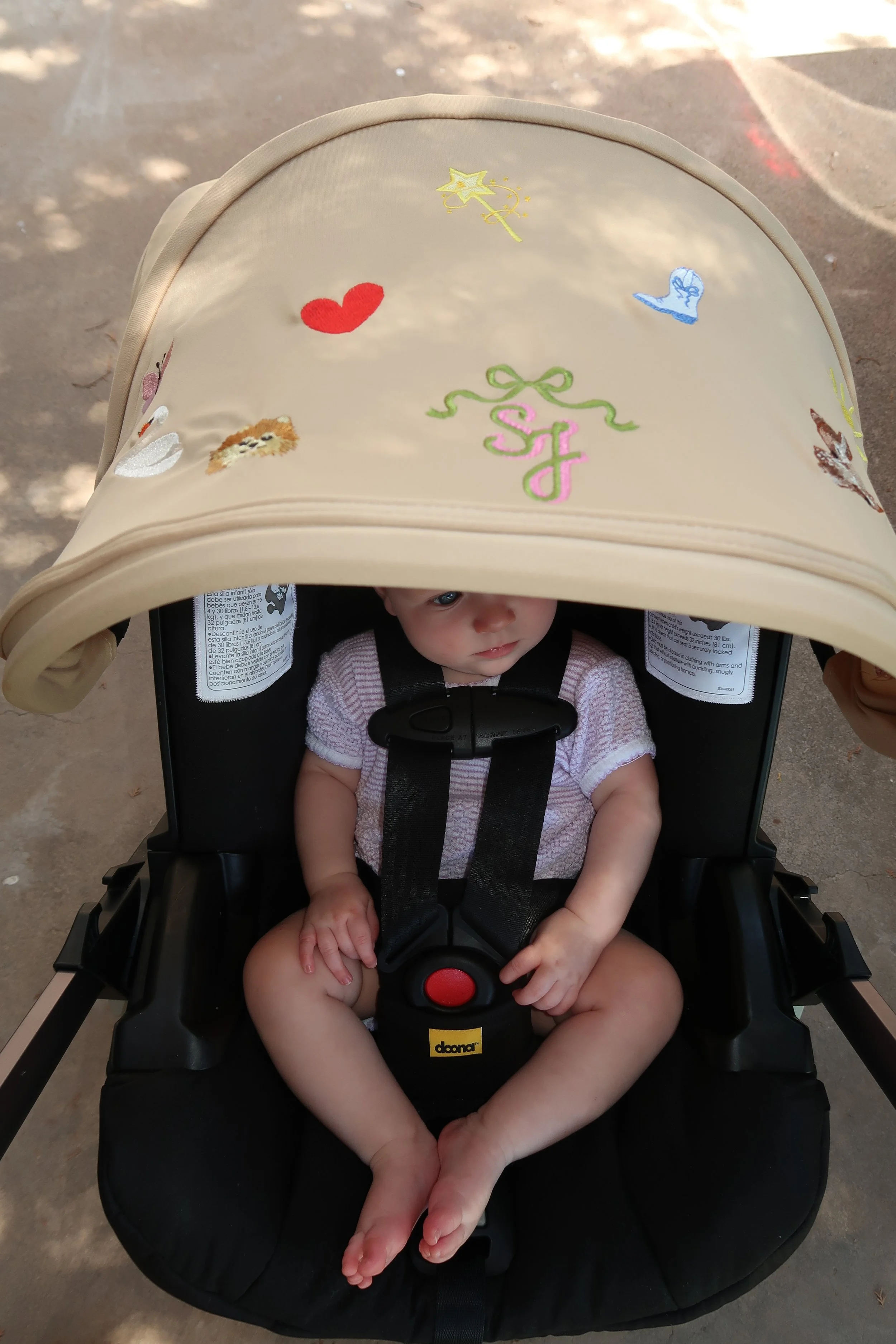 IMG_2261.JPG