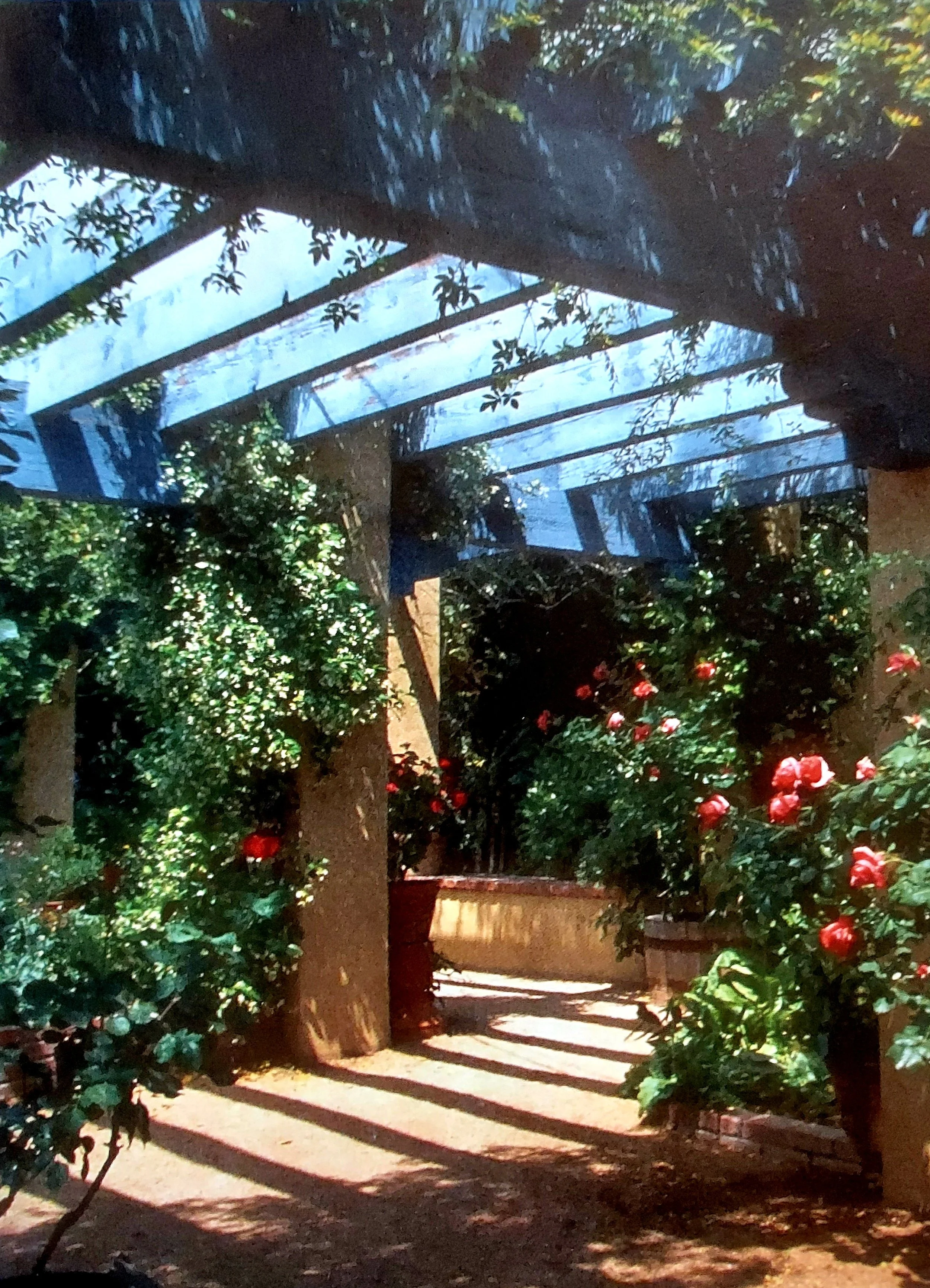 Tucson Botanical Gardens