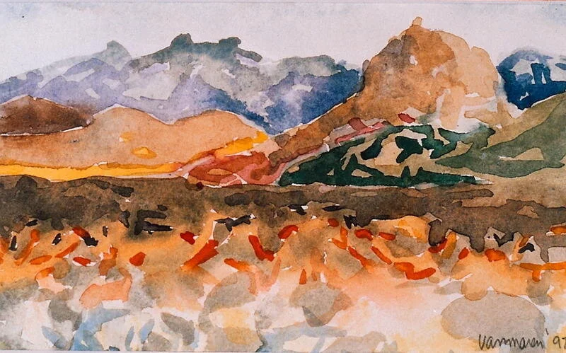 Catalina State Park 4"x 8" SOLD