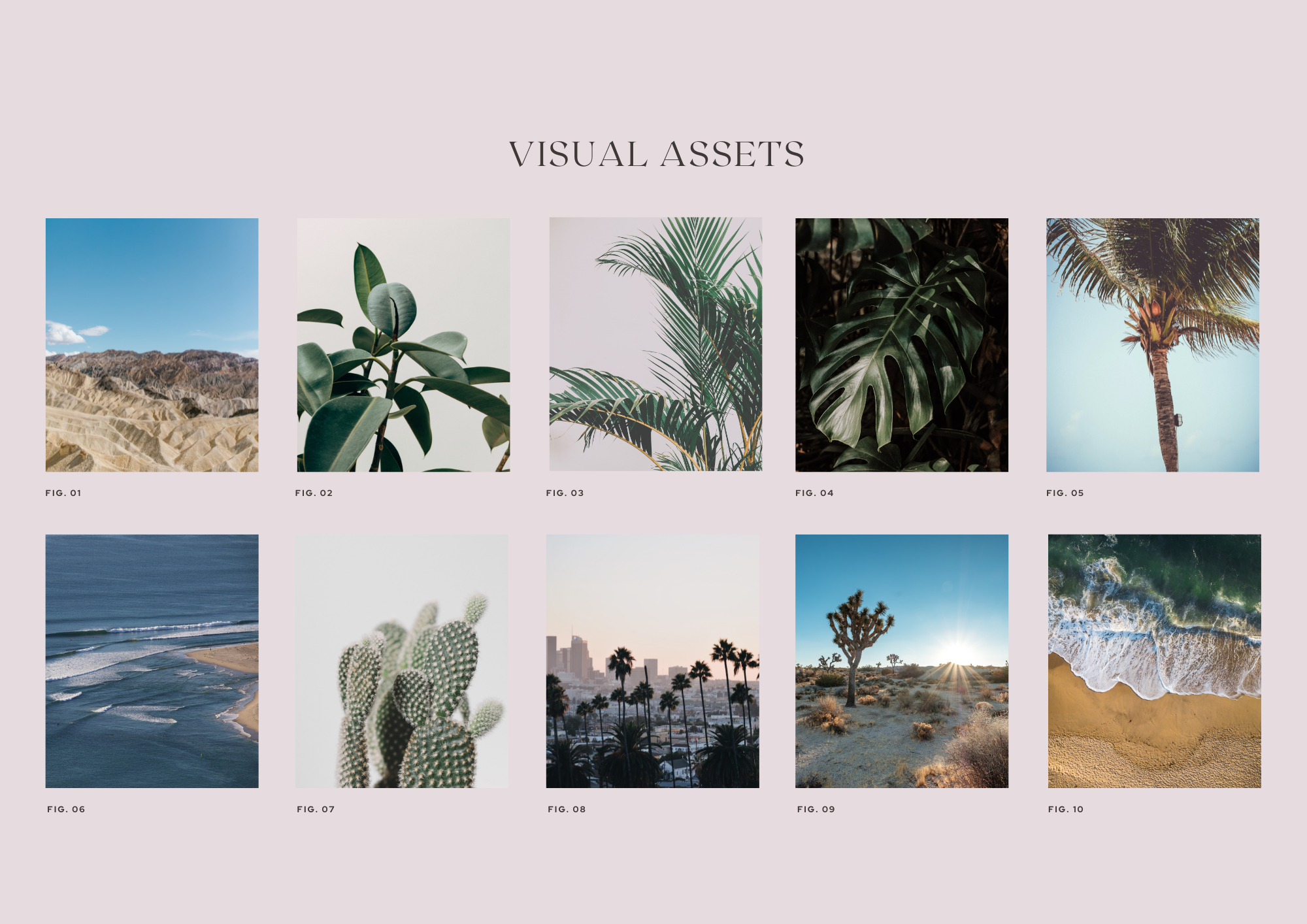 Nikki Rubin Brand Strategy Revised.png