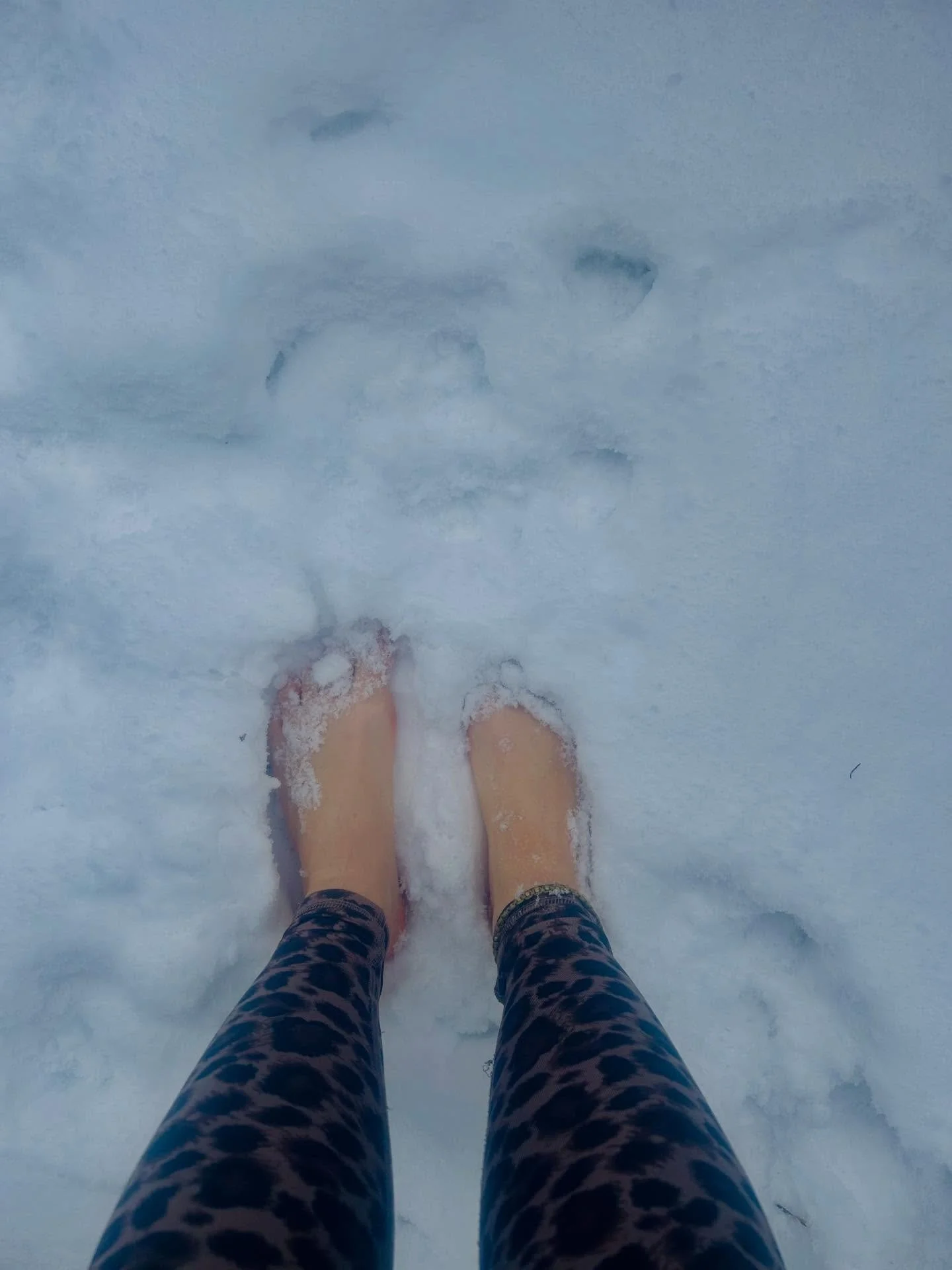 Wann haben wir eigentlich vergessen, dass Dinge Zeit brauchen? 

Nicht ein paar Tage oder Wochen, sondern manchmal Monate, vielleicht sogar Jahre&hellip;bis wirklich etwas gesundes Neues entstehen kann.

Wollen wir das h&ouml;ren? Wahrscheinlich nich