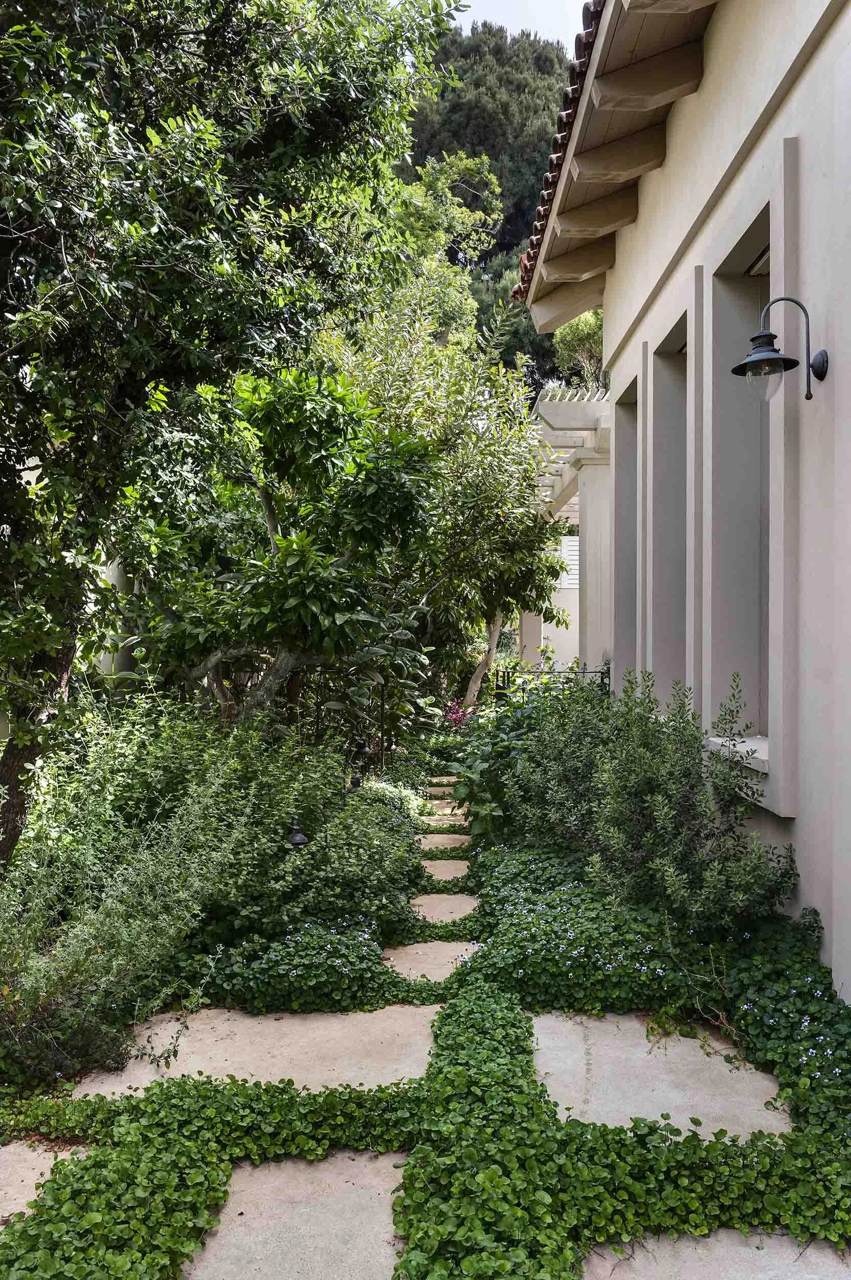 _DSC3644AAA copy.jpg