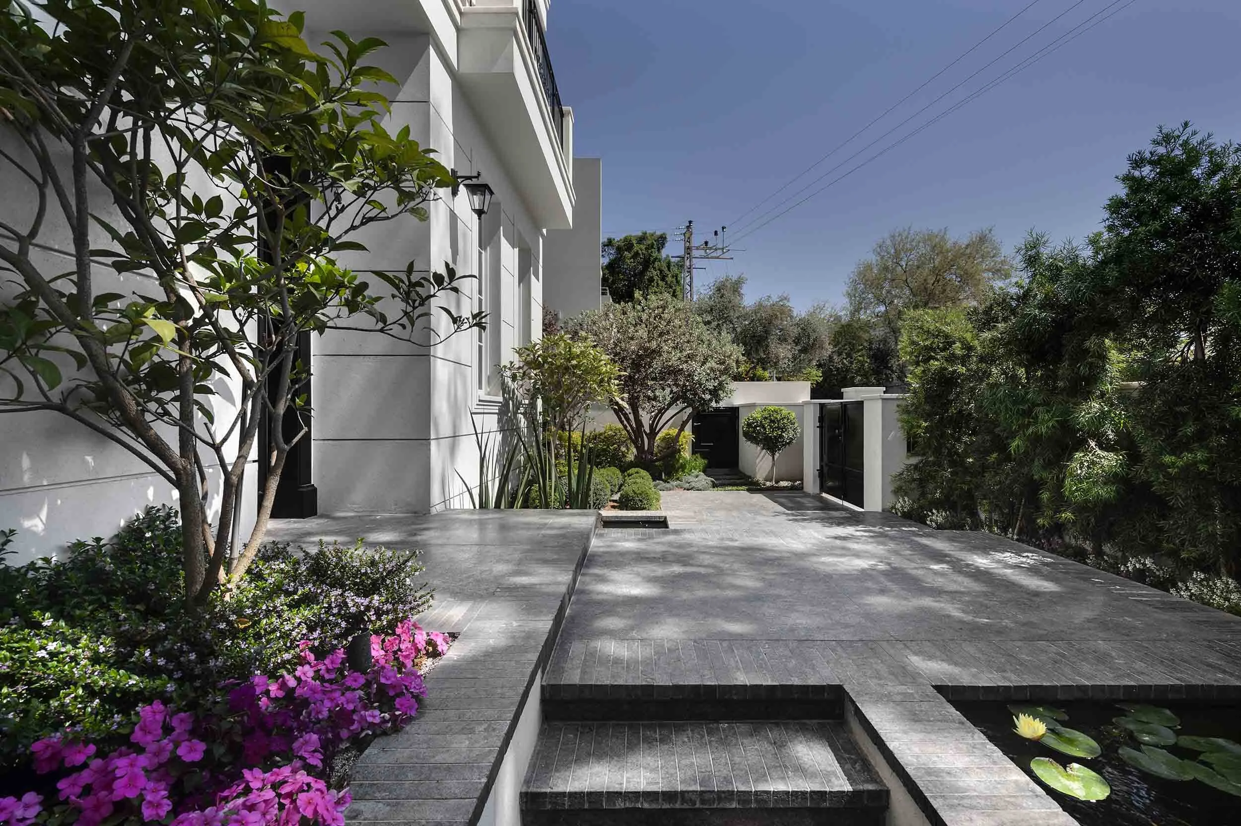 _DSC2285AAA copy.jpg