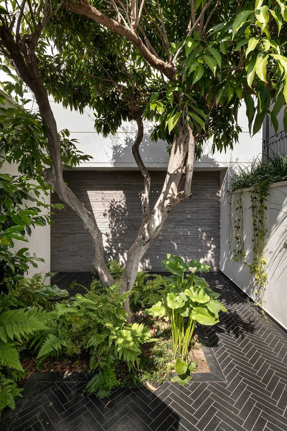 850_4996AAA copy.jpg