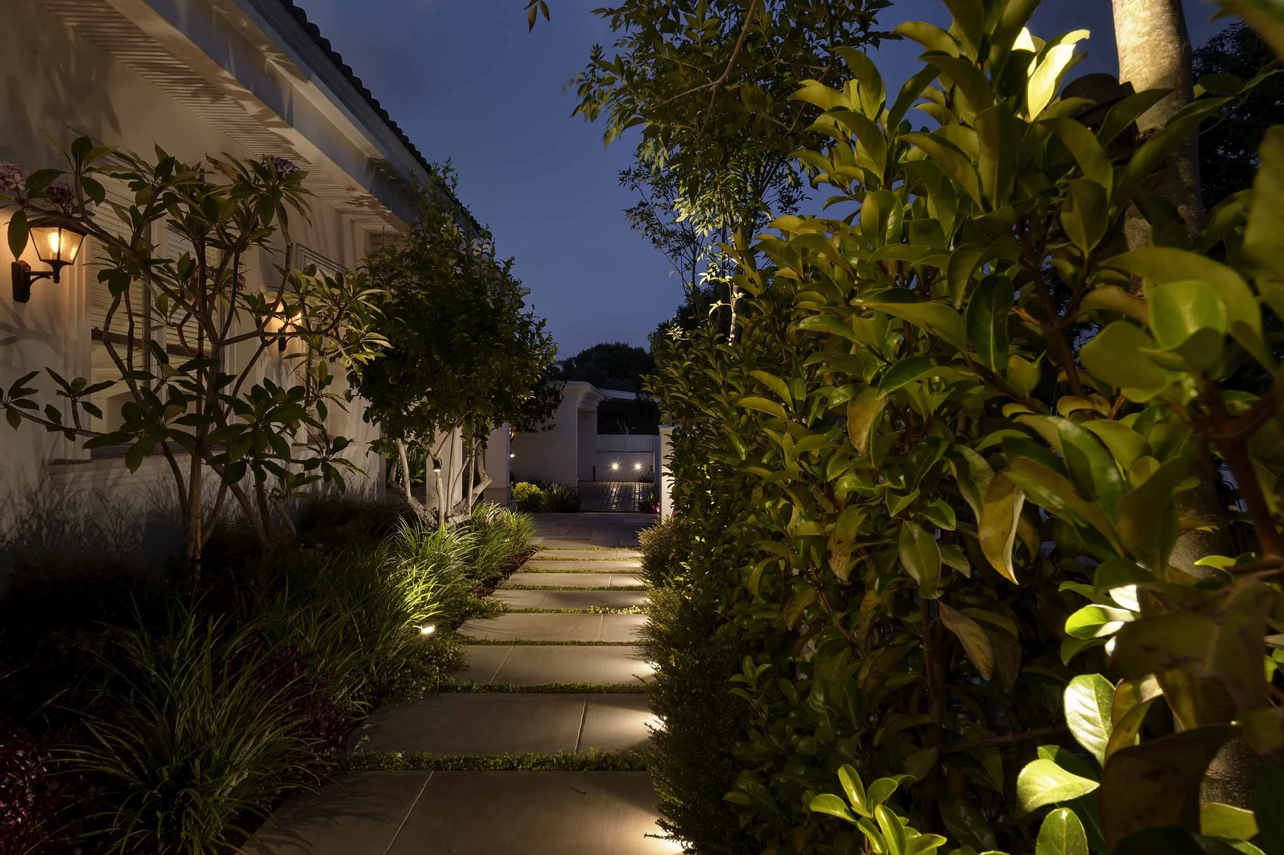 _DSC7351AAA copy.jpg