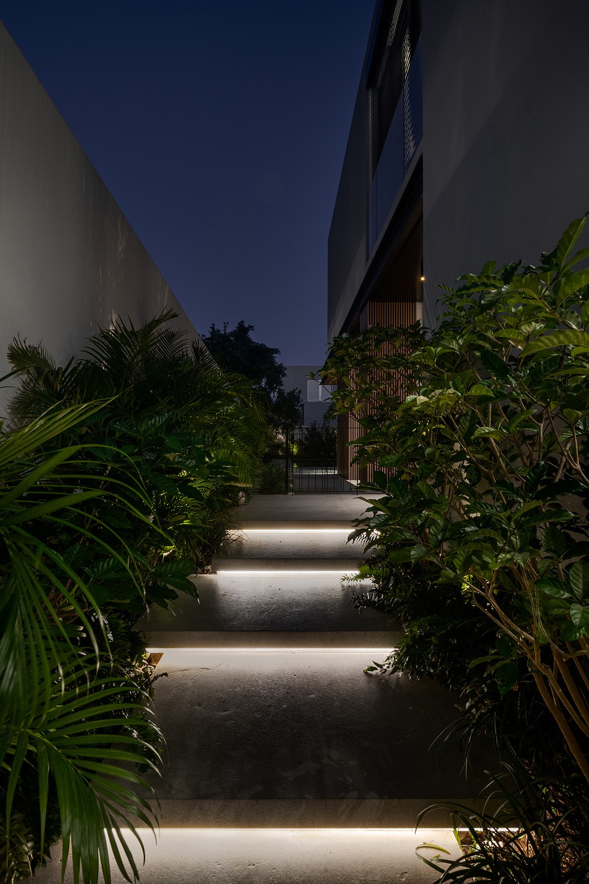 850_5299AAA copy_a.jpg