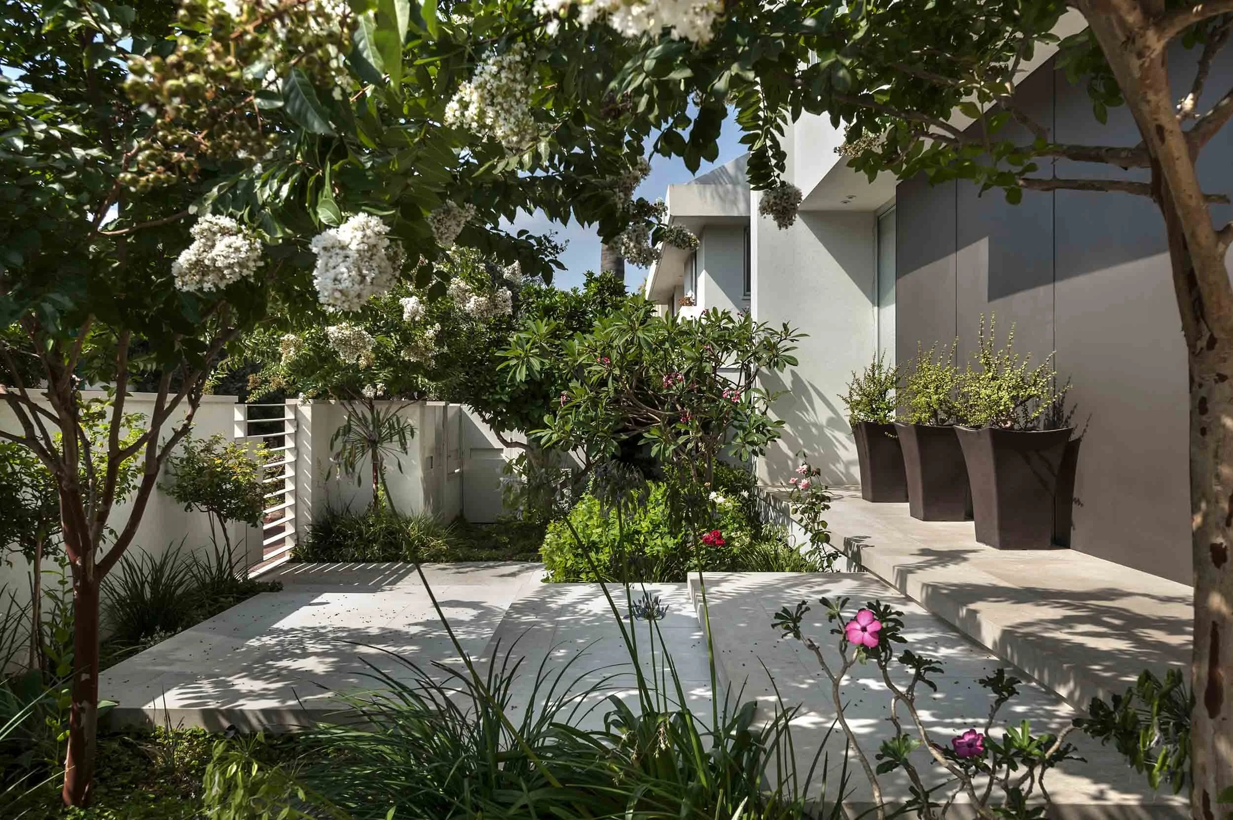 _DSC3429AAA copy.jpg