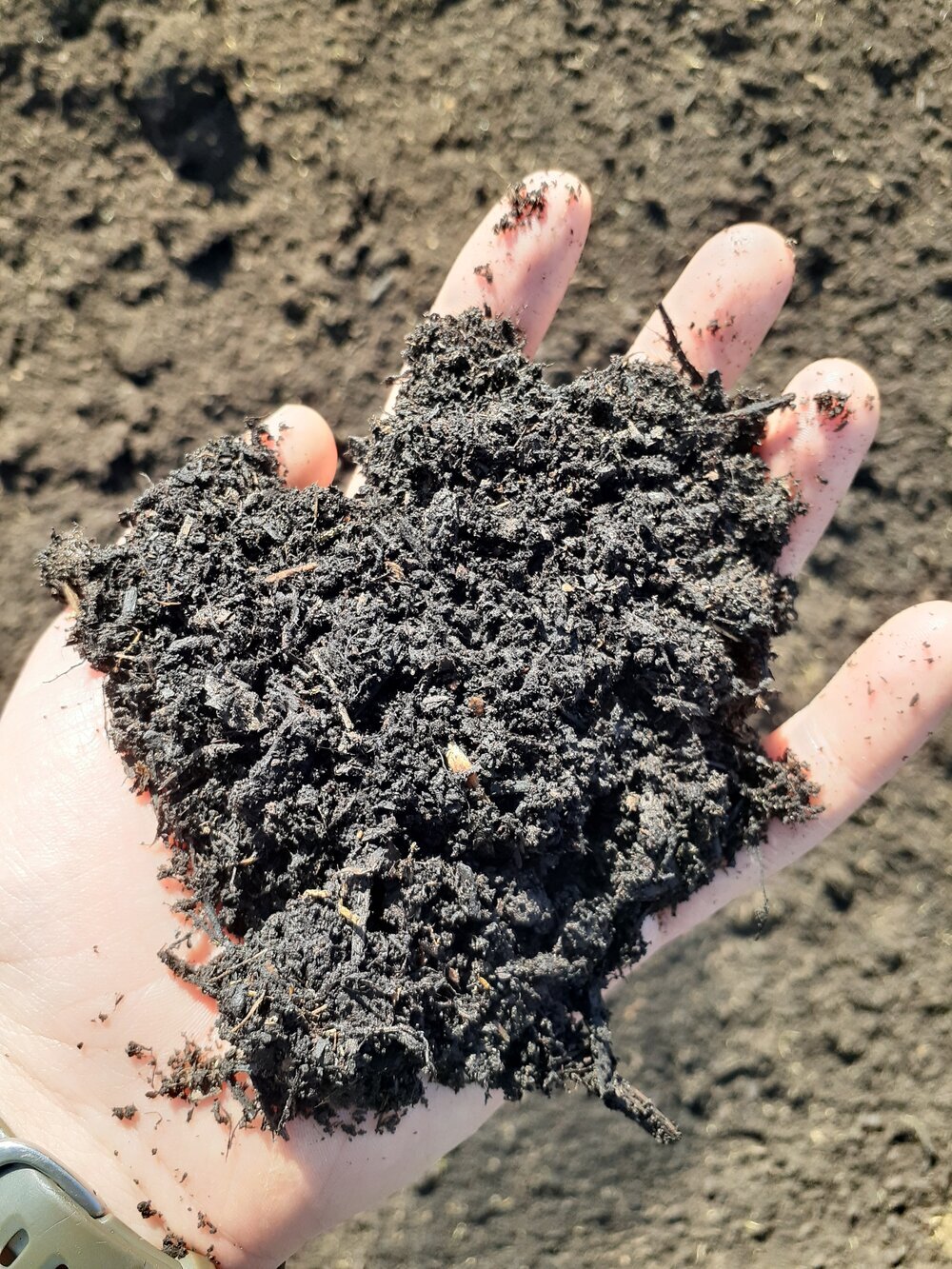 Grade A Compost.jpeg