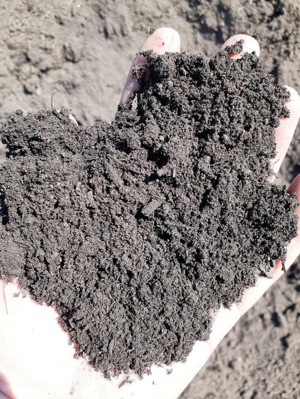 Enriched+Top+Soil.jpeg