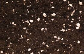 Premium perlite potting soil.jpg