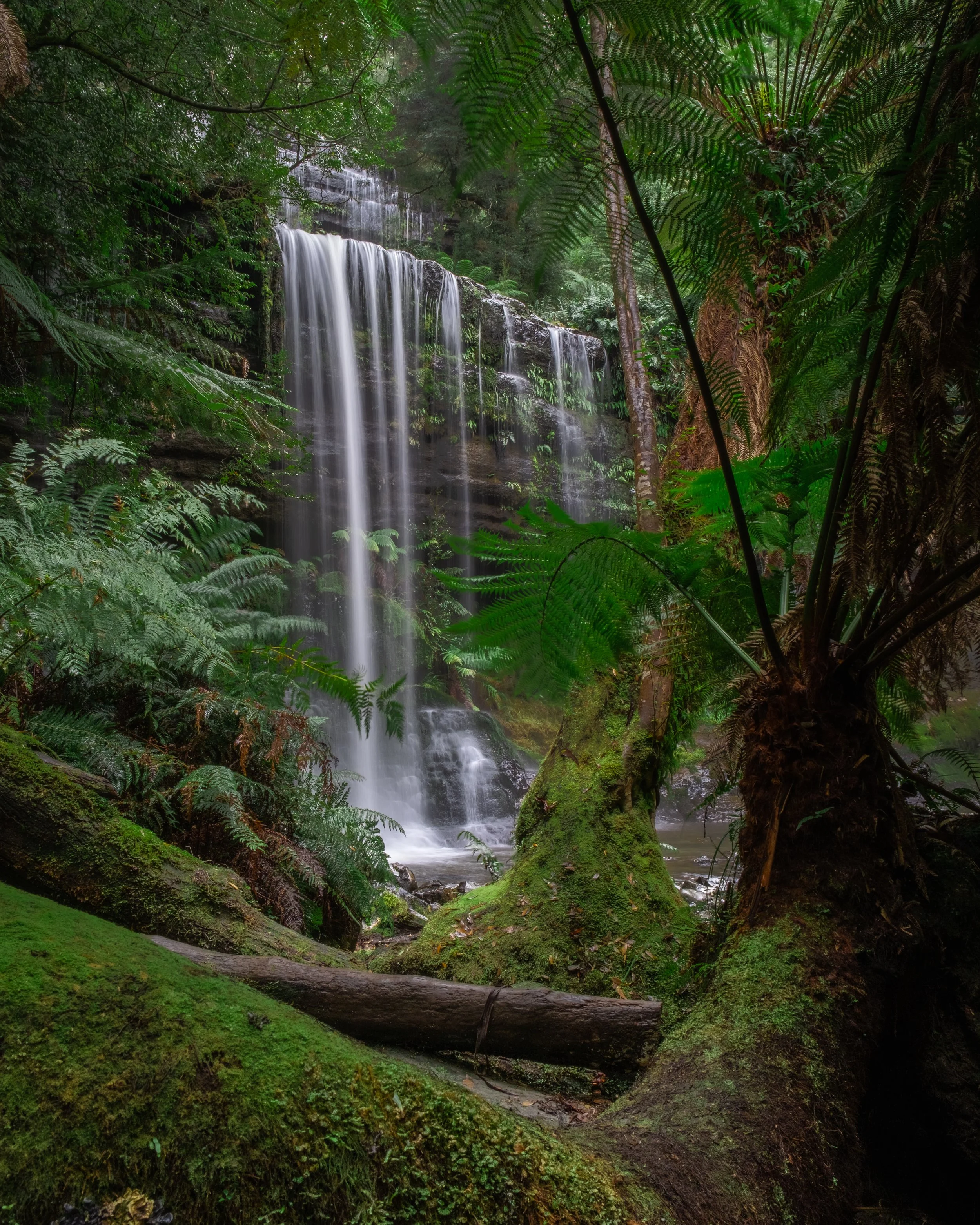 Wild-Track-Media-Landscape-Photography-Tasmania-Waterfall-003.jpg