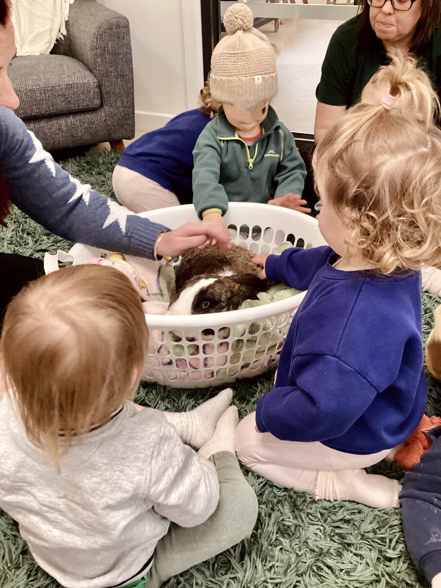 We were very lucky at Hei Schools Ballarat Central today to receive a visit from Fluffy, Peter and Alisha's giant pet bunny.  The children were amazing with the size of him and loved how soft his coat was.  Many thanks to Stacey for bringing him in. 