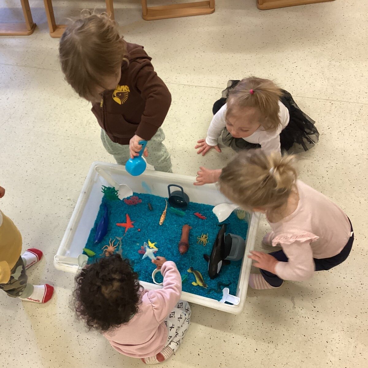 The children in the Infants room have been enjoying their ocean animal sensory tray this week, using measuring cups and their hands to explore the feelings and sounds made. Sensory exploration is an integral part of young children's development encou