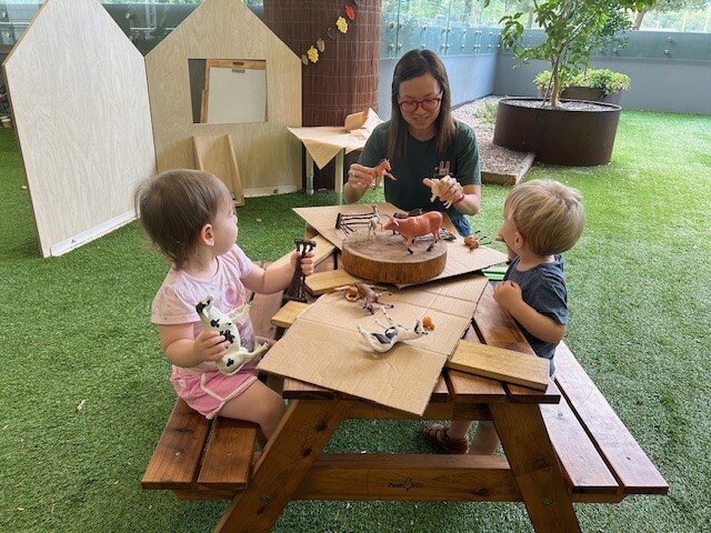 HEI Schools St Leonards has an incredible outdoor space where we use about 70 % of our day. The children have been sharing their ideas and thoughts about animals and so an animal space was created for the children to engage and have some fun with the