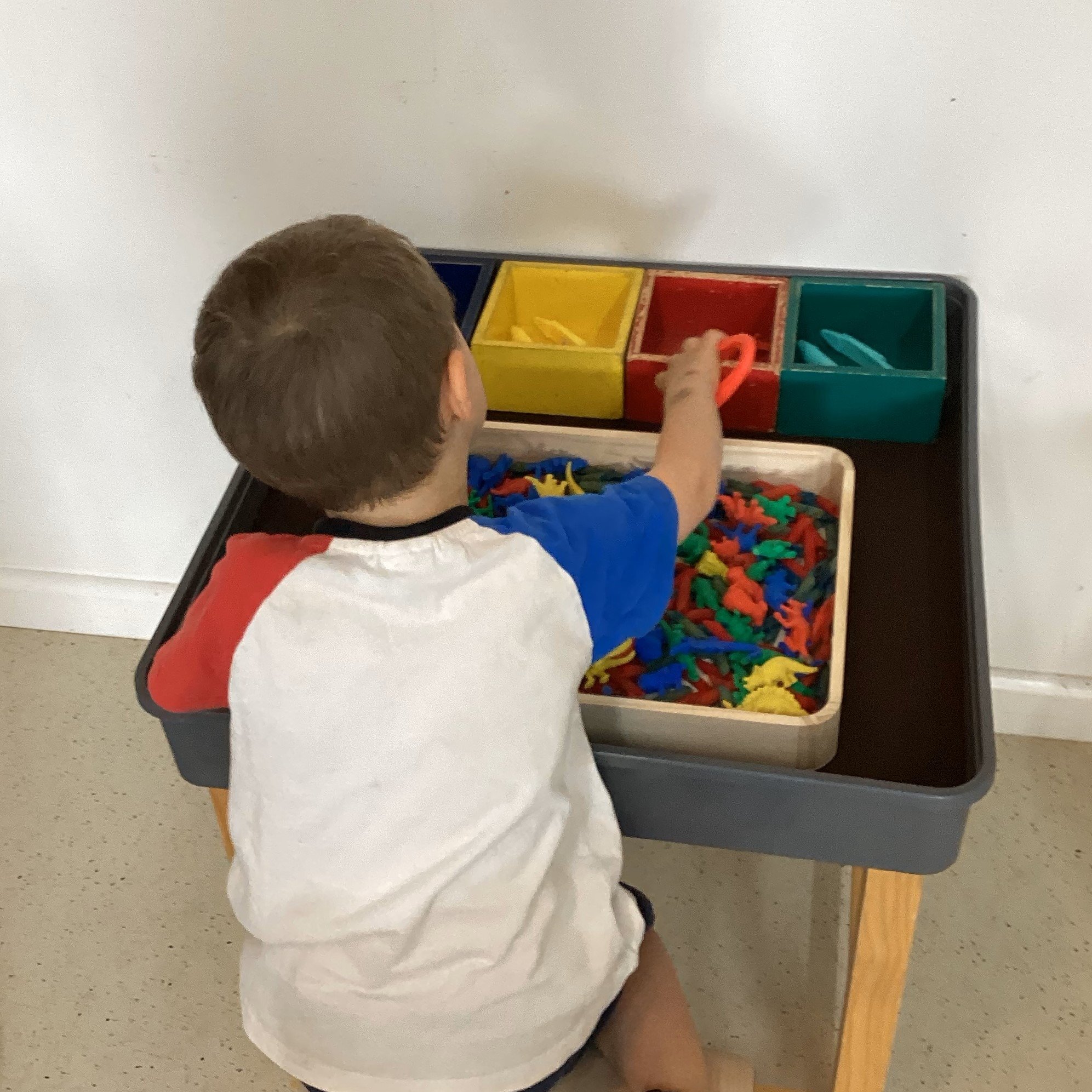 Our kinder children enjoyed an exciting color sorting activity! Using tongs, they carefully picked up small toy dinosaurs and sorted them into their matching-colored containers. This fun exercise not only sparked curiosity and engagement but also sup