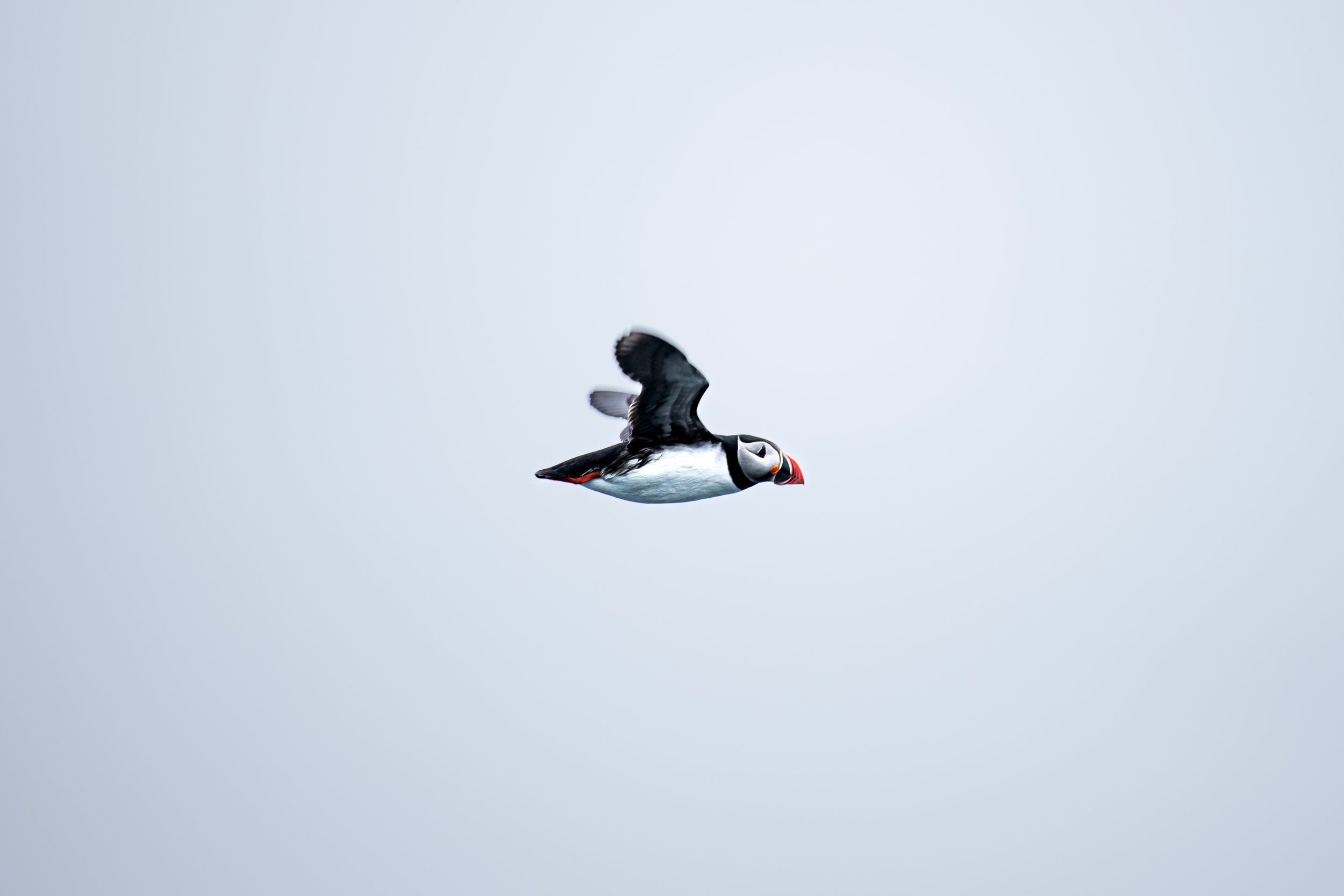 WebStore-349.jpg