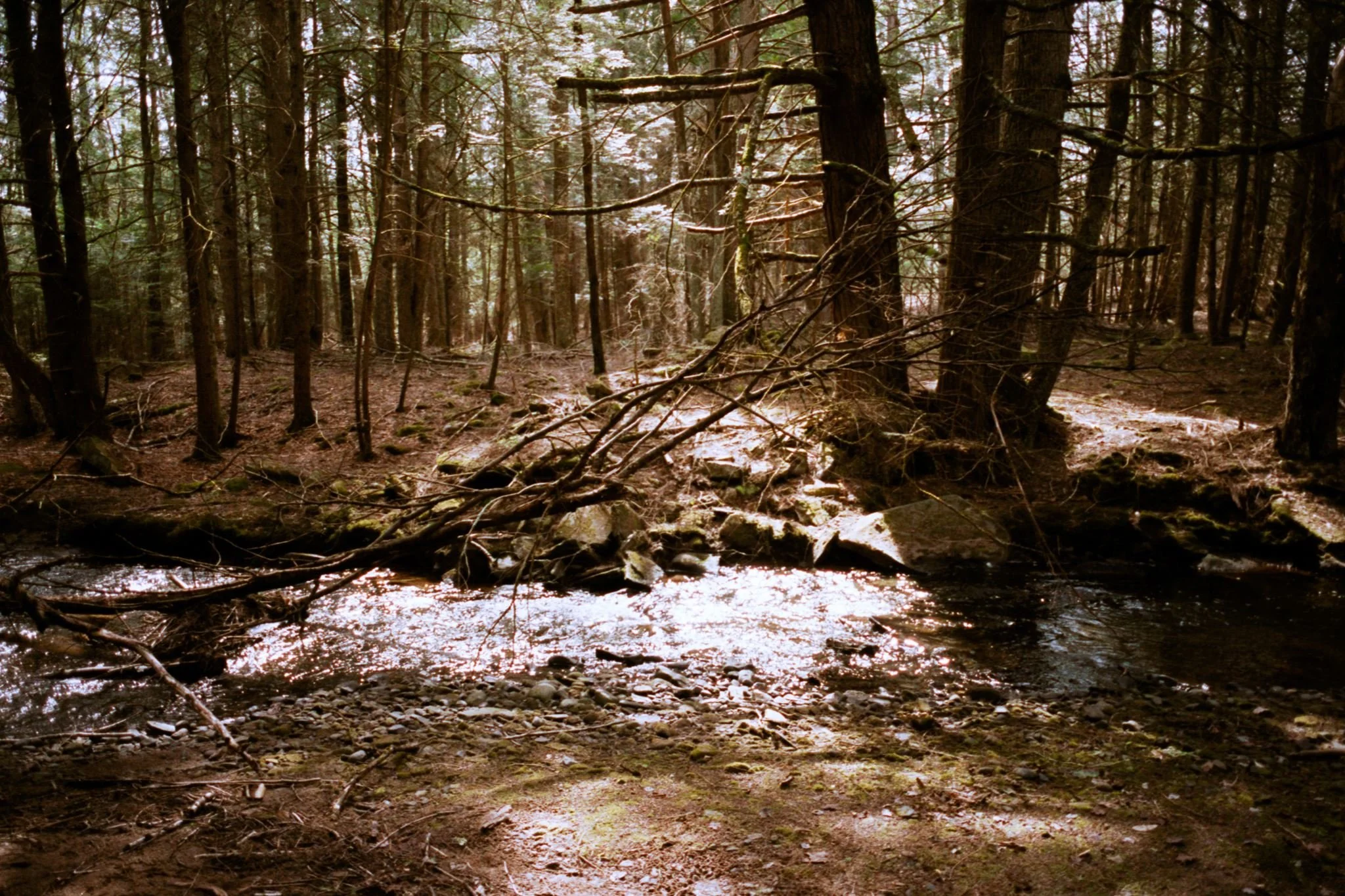 Basics of Coherence & Ceremony Retreat