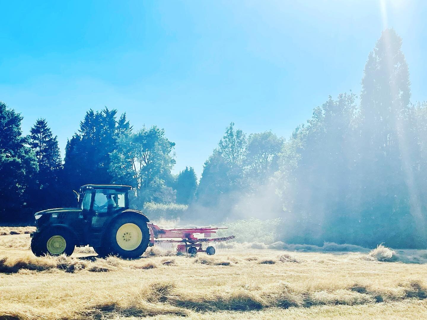 Midway.

Once the hay is cut and baled in early Aug, it brings home that Autumn is around the corner and it&rsquo;s time to adjust medium-term thinking to consideration of winemaking and moving beyond vineyard management.

The native meadows have bee