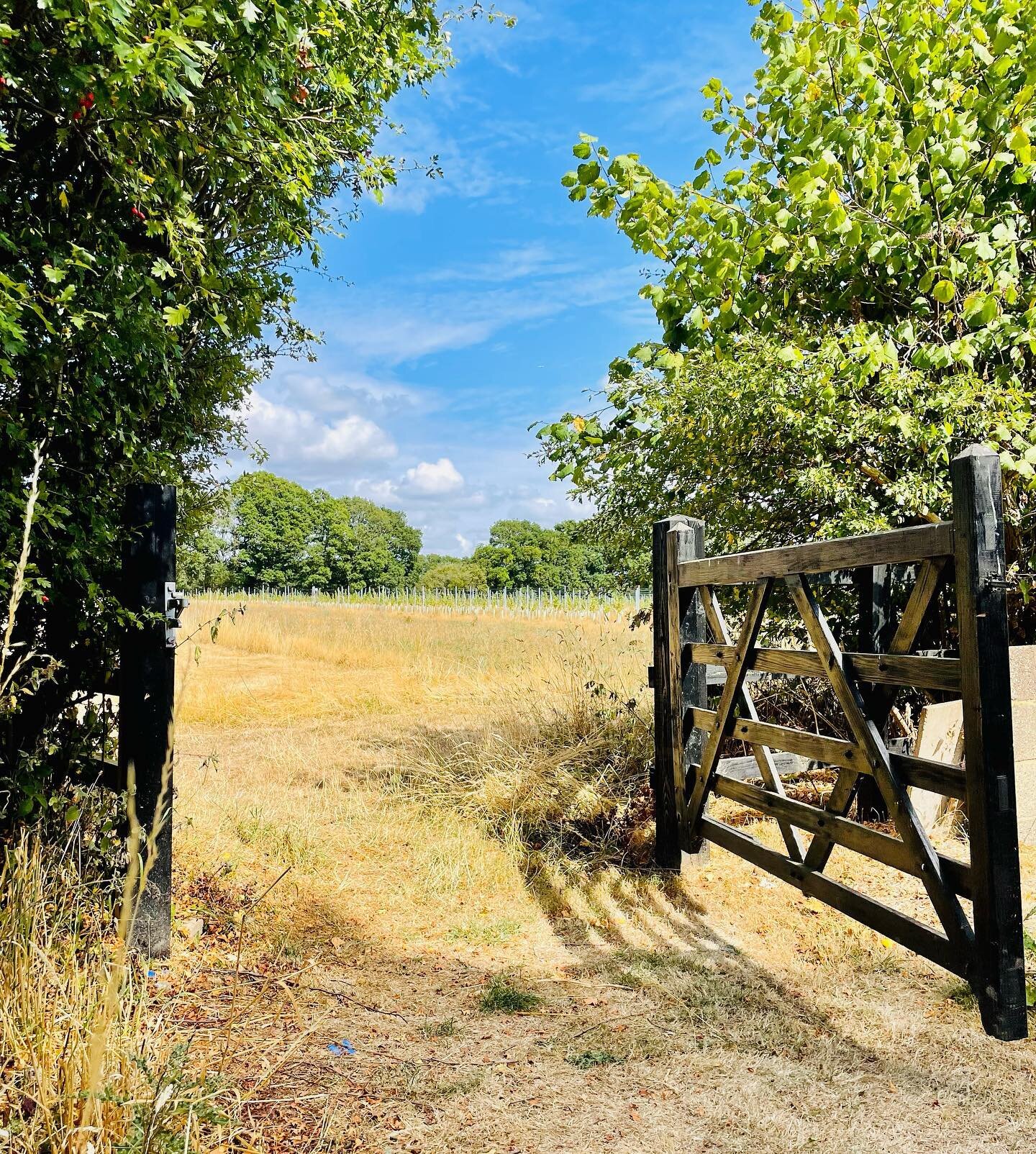 Gateway&hellip;

&hellip;to another kingdom. 

I love this particular gate. It links the 200-yr old orchard to the vineyard and finds itself adjacent to the compost system, the literal &lsquo;pulsing heart&rsquo; of our farm (and it&rsquo;s arteries 