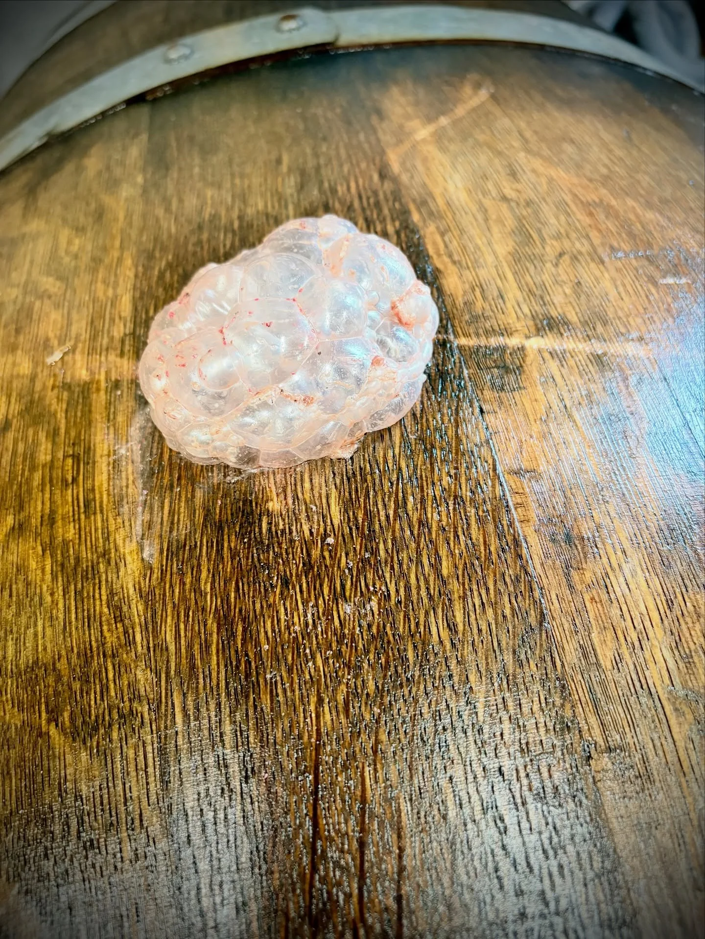 Overflow.

Being short of barrel and tank space this year means  pushing the limits on fill level. With fermentation comes expansion and foam. Whether we underfill or overfill is running at tight margins&hellip;

#naturalwine #pinotnoir #englishwine 