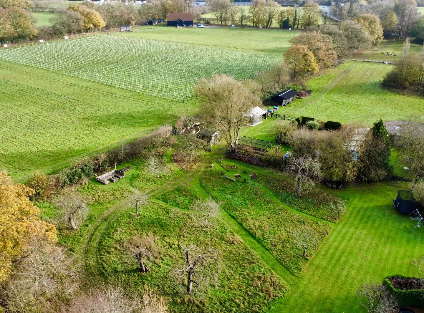 Bird&rsquo;s eye.

Orchards, vineyard, chickens, veg and farm landscape from above. Everything seems so small and insignificant, but in full context and perspective.

I find it important to zoom in and out from time to time to get full aperture on wh