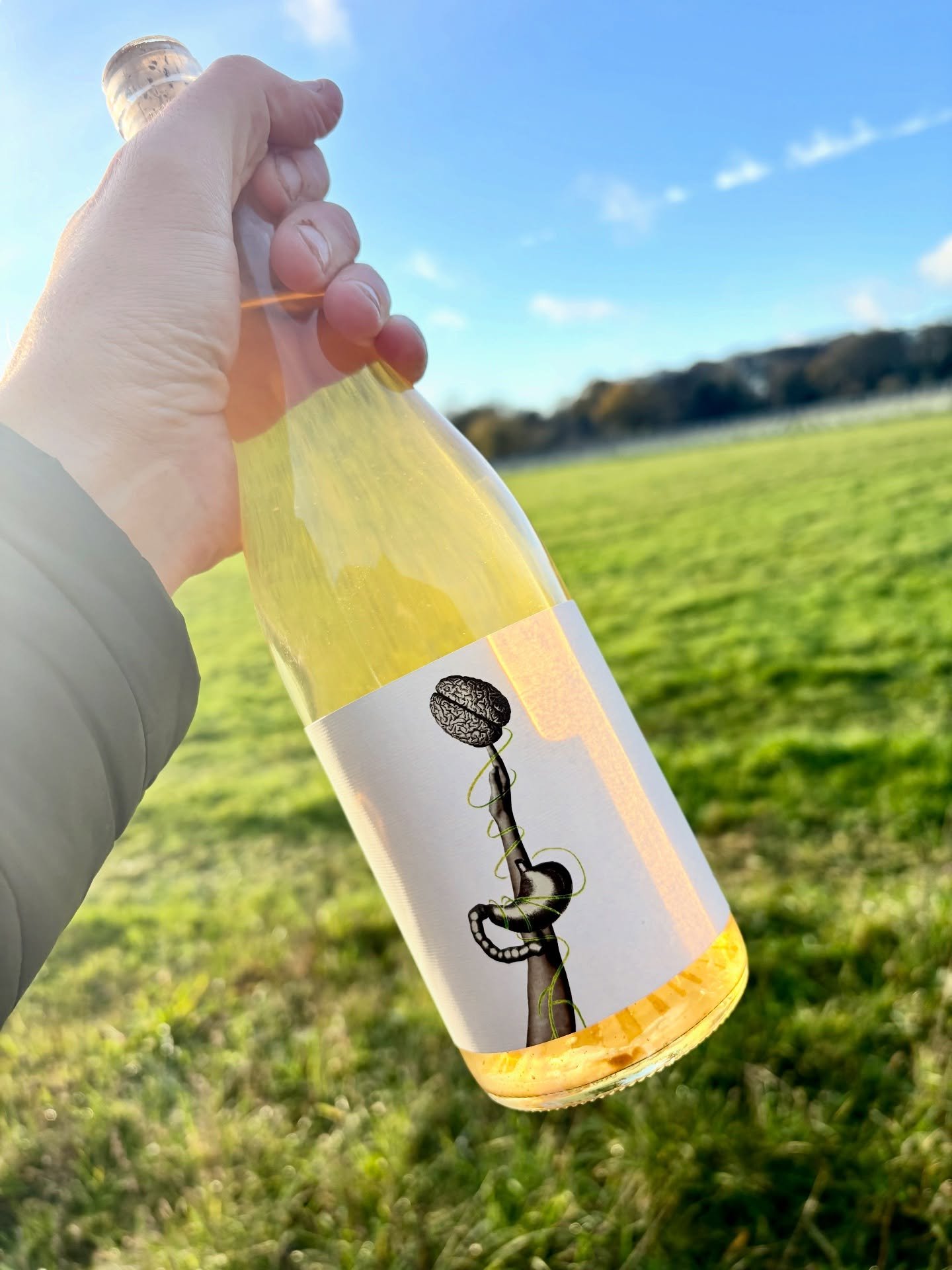 Limited release 🚨: Lost Vagus - Cider.

A single barrel: 20 apple varieties, wild yeast, 9 months in cherry wood (ex-rum) and zero additions (inc sulphites), zero fining/filtration. Still cider, 6.5% abv.

Tasting notes: &ldquo;Lemon-gold in colour,