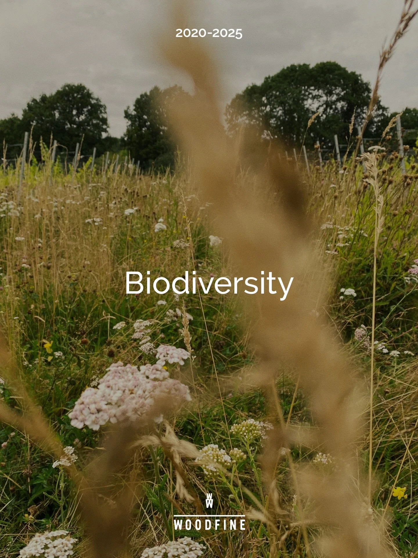 This is big: 5 years of data crunched into outcomes from a new way of farming this land.

Regeneration. Vitality. Environmental services. Productive.

Full report in bio and on website. 

Credits  @amoderncraft, @liamm_edwardss @smillie_photography 
