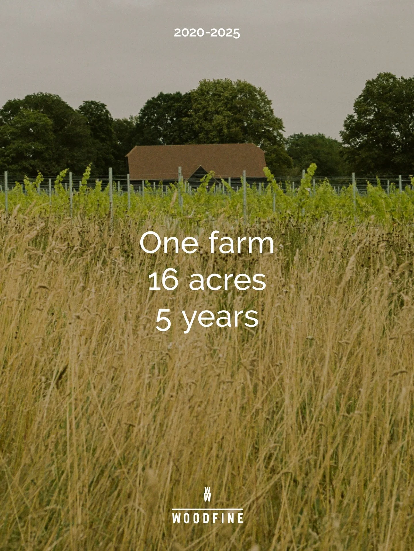 This is big: 5 years of data crunched into outcomes from a new way of farming this land.

Regeneration. Vitality. Environmental services. Productive.

Full report in bio and on website. 

Credits  @amoderncraft, @liamm_edwardss @smillie_photography 
