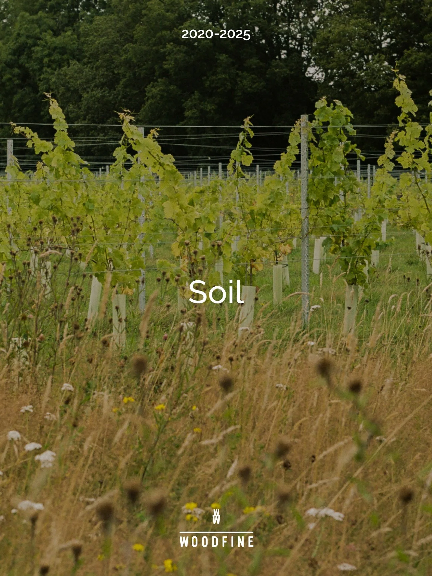 This is big: 5 years of data crunched into outcomes from a new way of farming this land.

Regeneration. Vitality. Environmental services. Productive.

Full report in bio and on website. 

Credits  @amoderncraft, @liamm_edwardss @smillie_photography 
