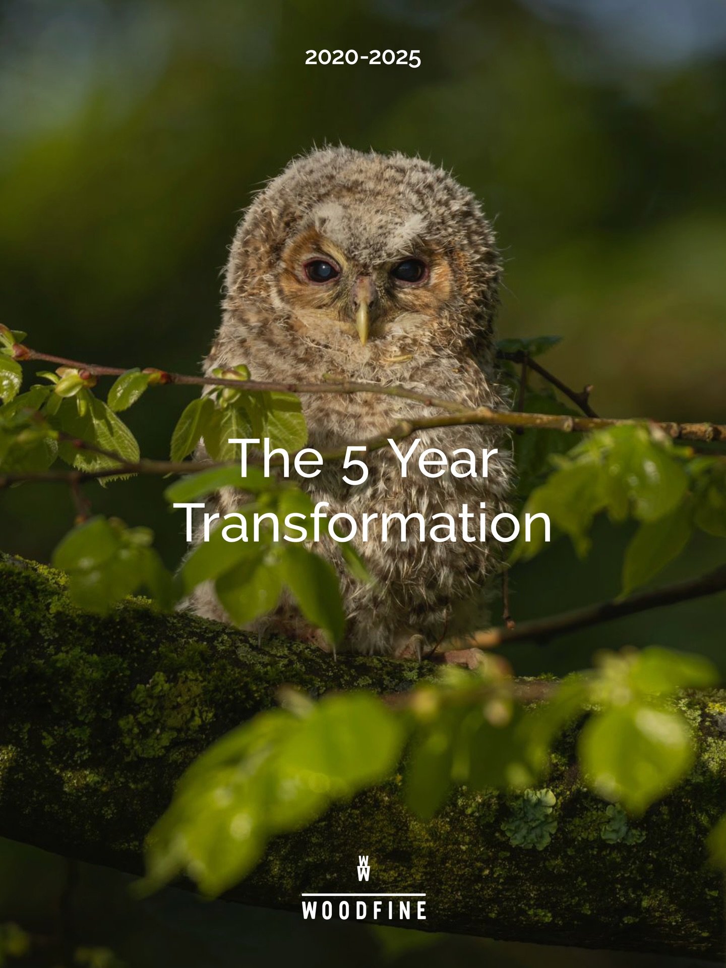 This is big: 5 years of data crunched into outcomes from a new way of farming this land.

Regeneration. Vitality. Environmental services. Productive.

Full report in bio and on website. 

Credits  @amoderncraft, @liamm_edwardss @smillie_photography 
