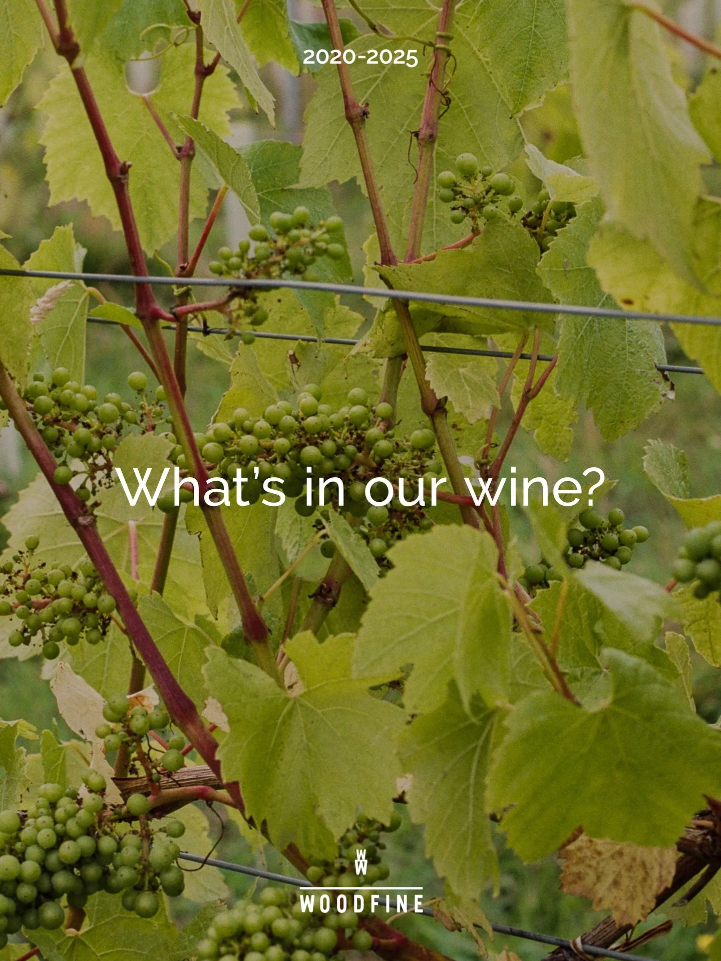 This is big: 5 years of data crunched into outcomes from a new way of farming this land.

Regeneration. Vitality. Environmental services. Productive.

Full report in bio and on website. 

Credits  @amoderncraft, @liamm_edwardss @smillie_photography 
