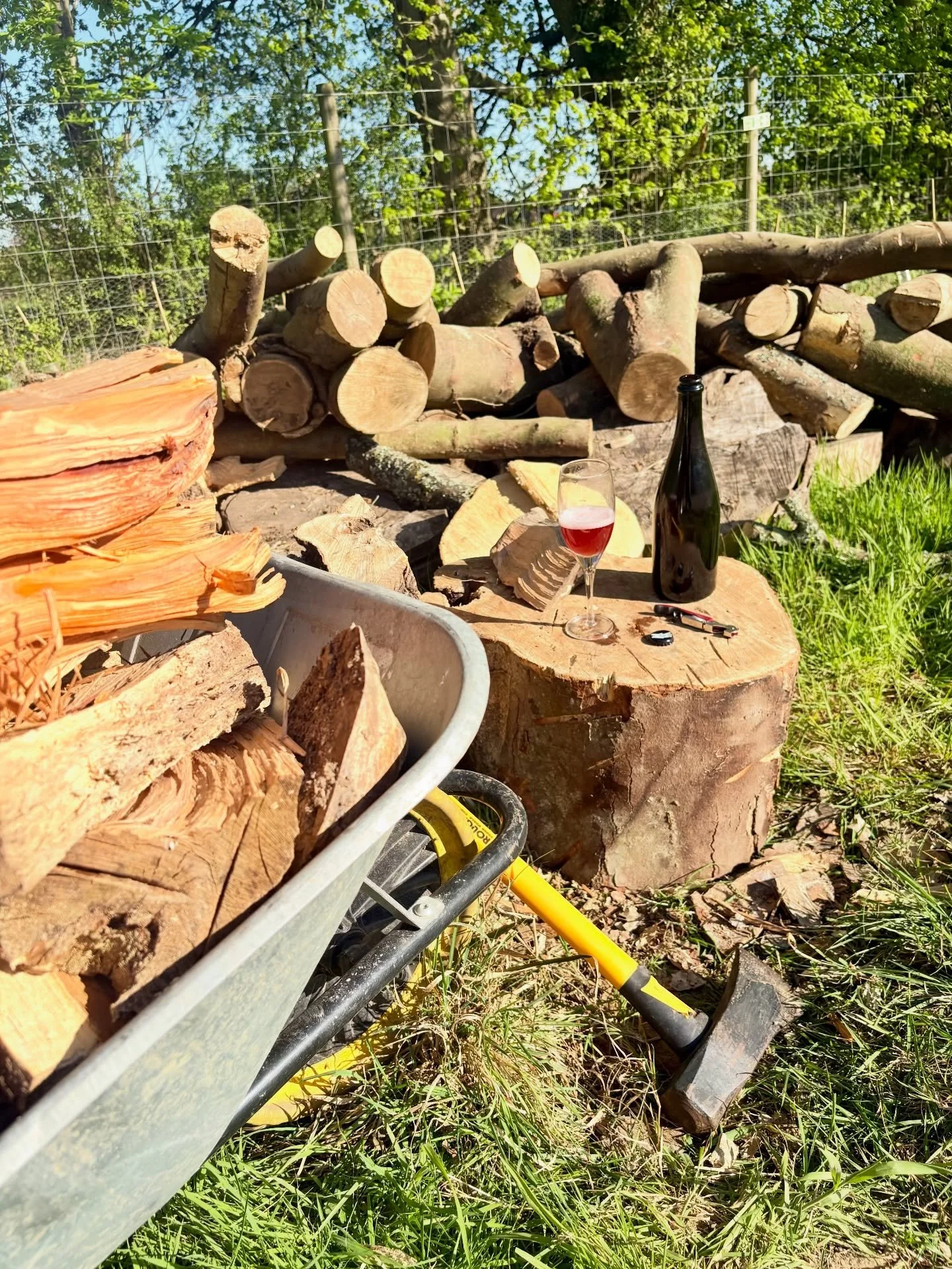 Wine. Fine. Wood.

Woodfine.

A very fortunate surname given the task and refreshments at hand.

#naturalwine #organicvineyard #regenerativeagriculture #chilterns #beaconsfield