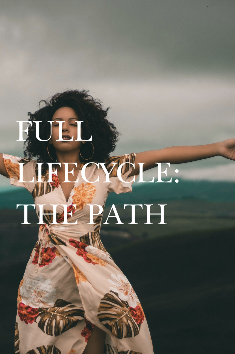 Full Life Cycle Analysis