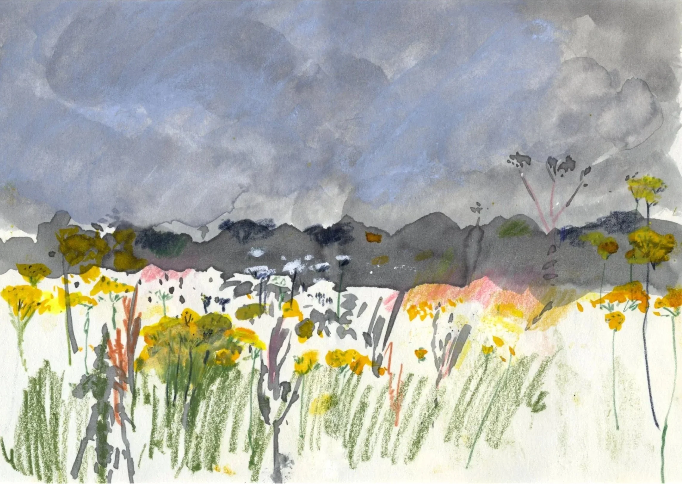 meadow.jpg