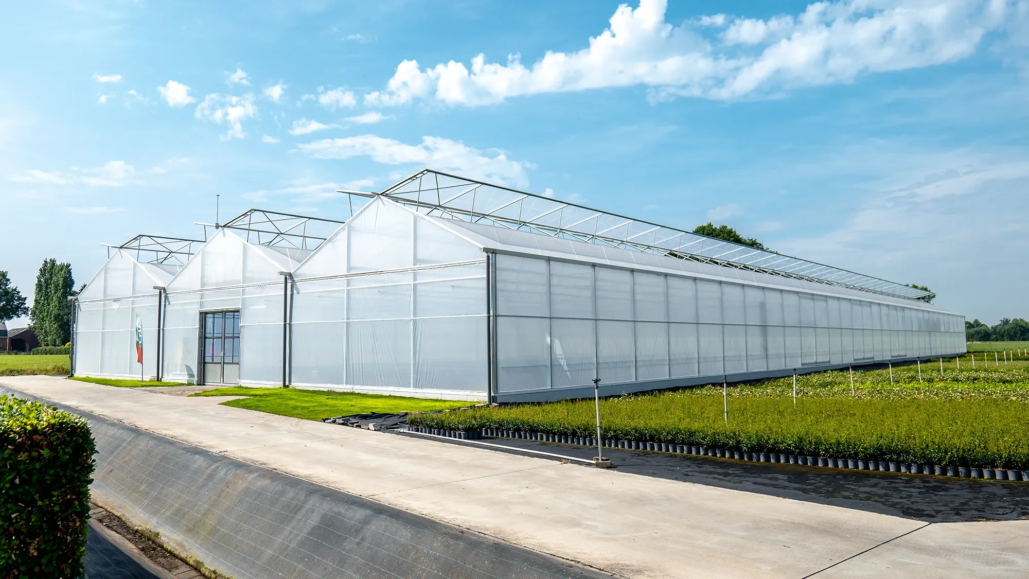 HortiHouse_Nursery_Leenaerts_1.webp