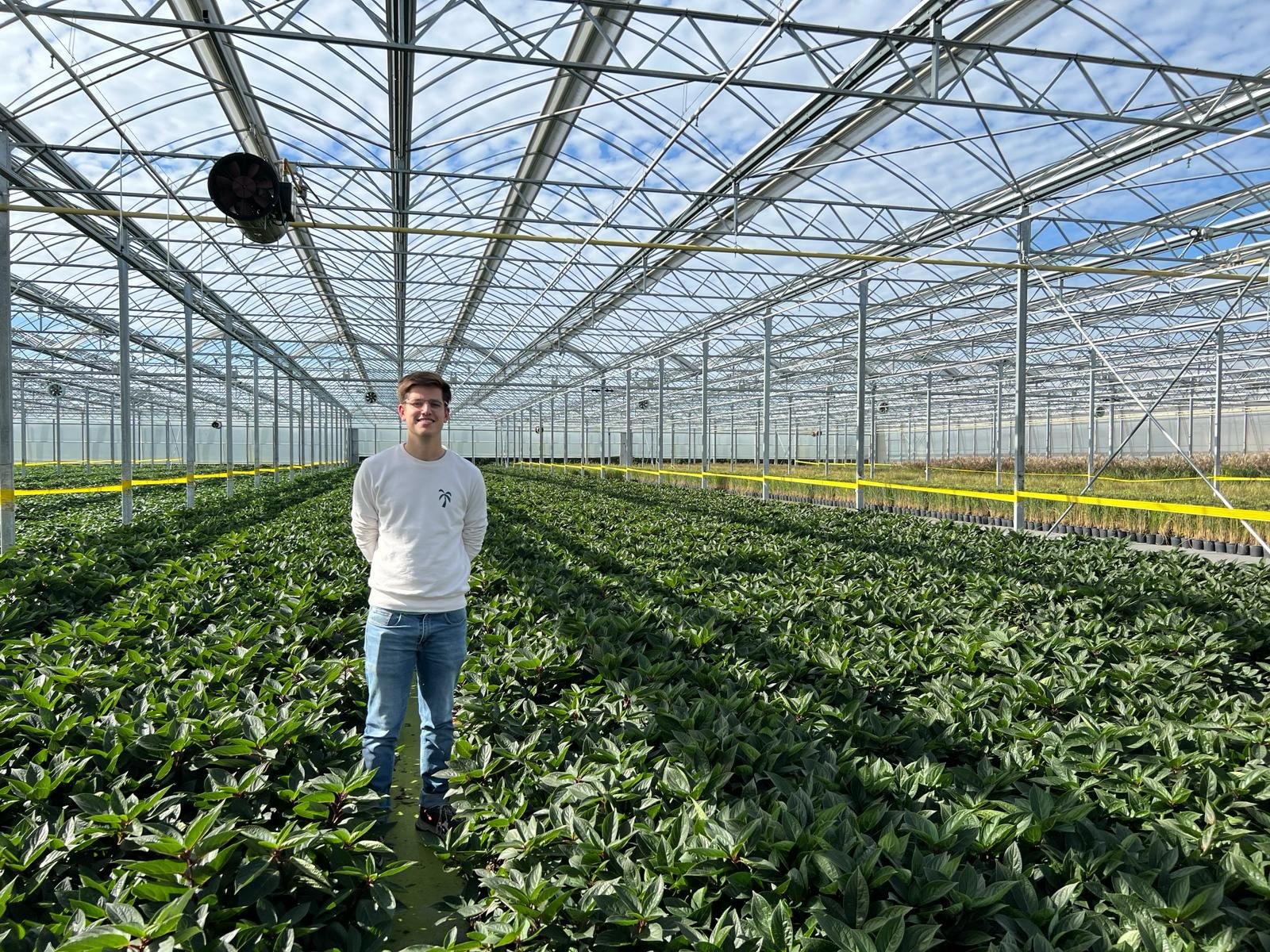 Designing Energy Efficient Greenhouses Through Natural Ventilation