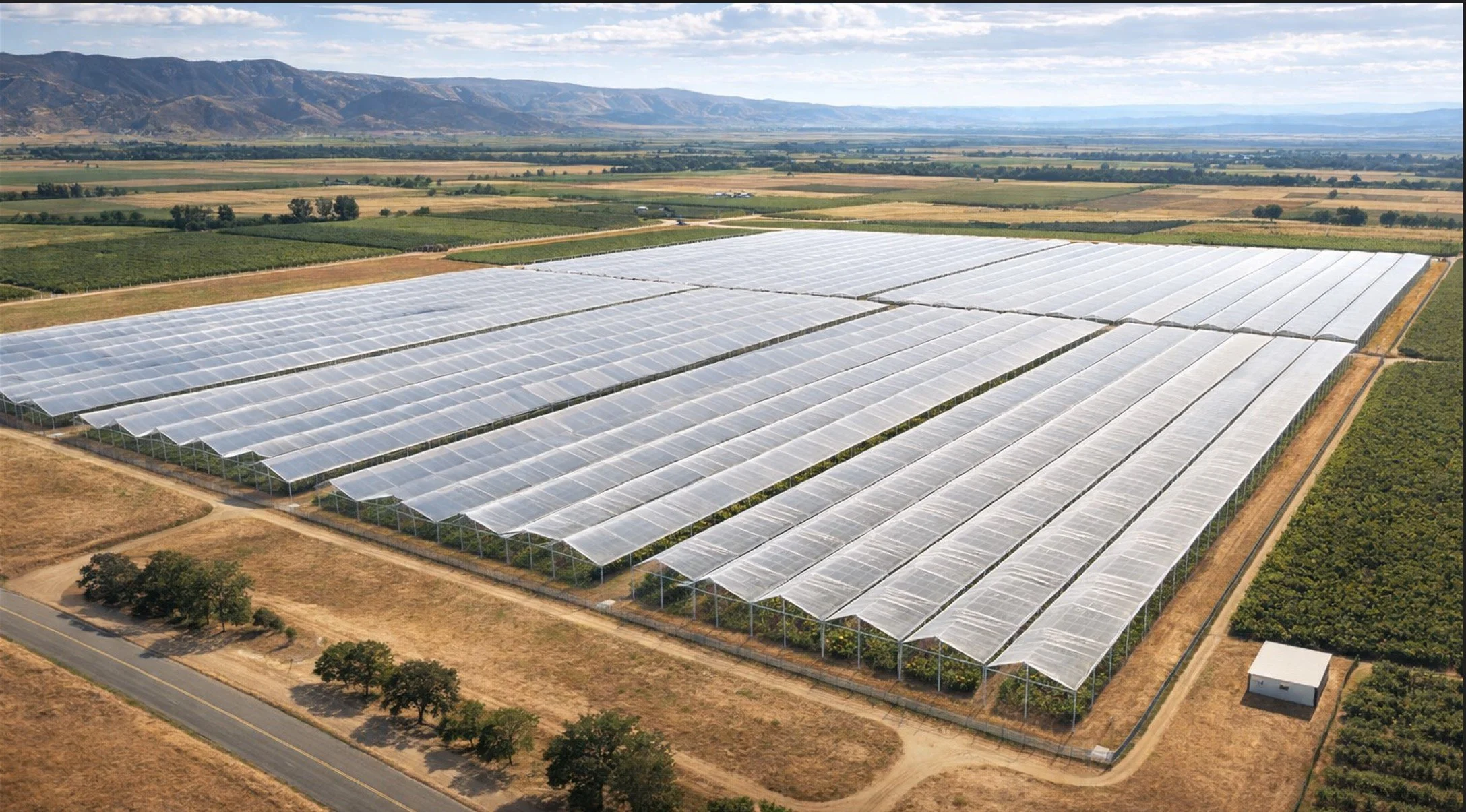 From Weather Risk to Yield Stability: How Flexible Fruit Cover Systems Are Reshaping Open‑Field Fruit Production