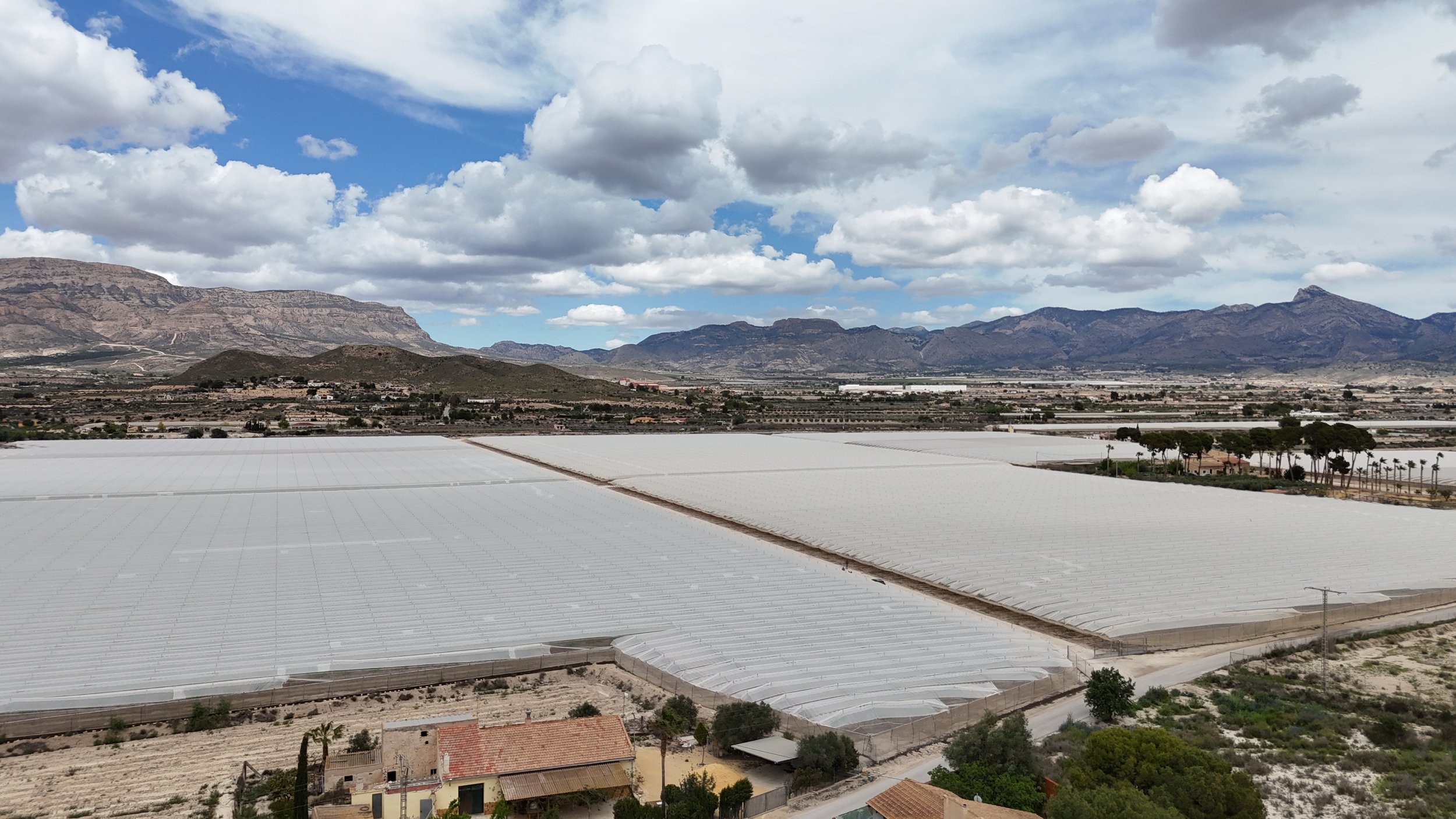 De wetenschap achter kasfolie in zachtfruitteelt