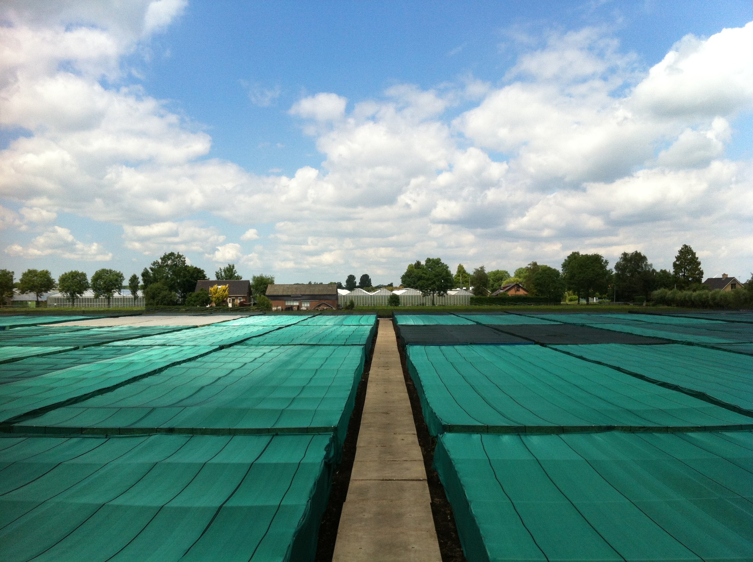 15 juni 2012 010.jpg