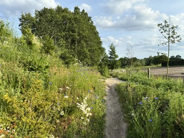 image006.jpg