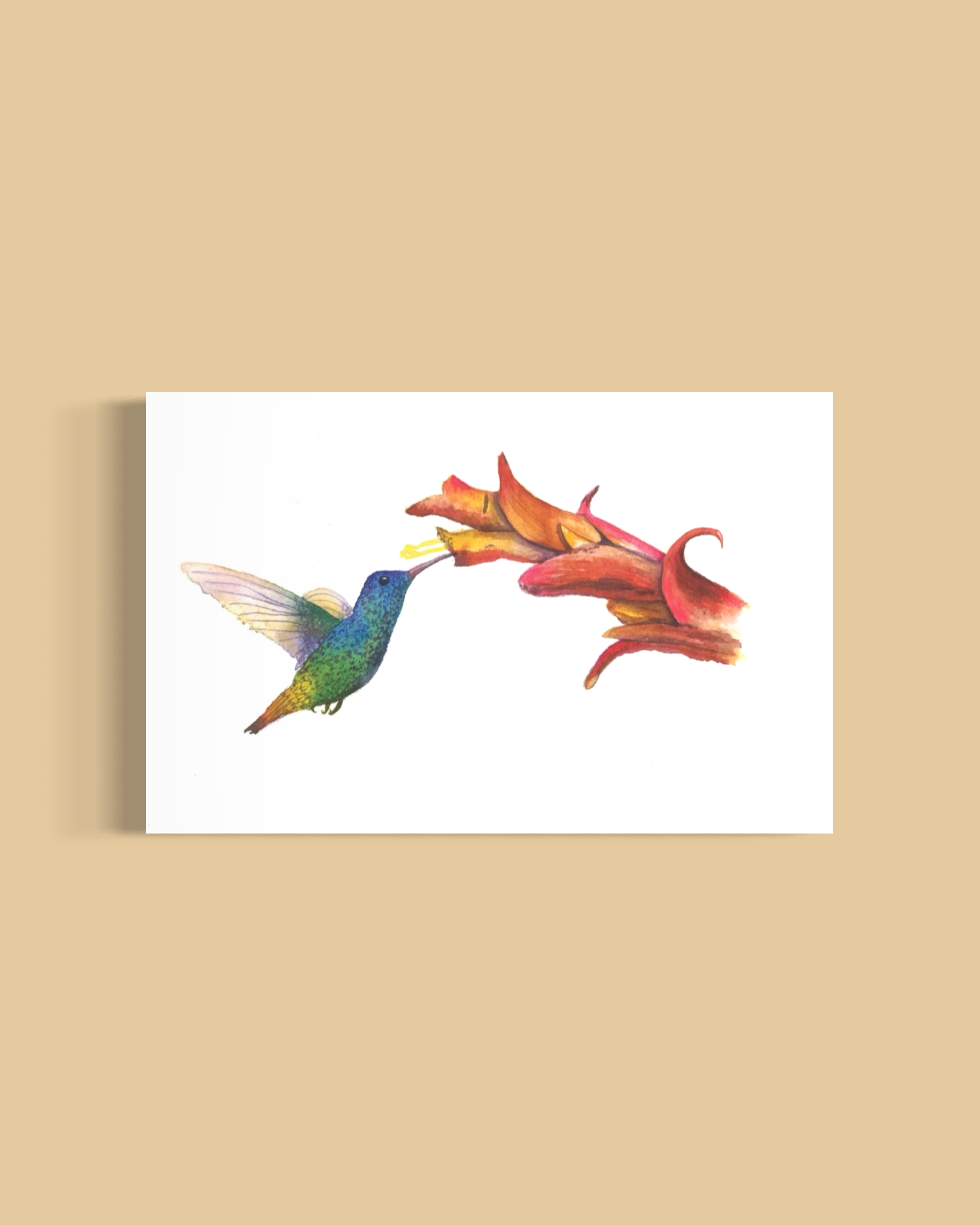 IMG_8513.png