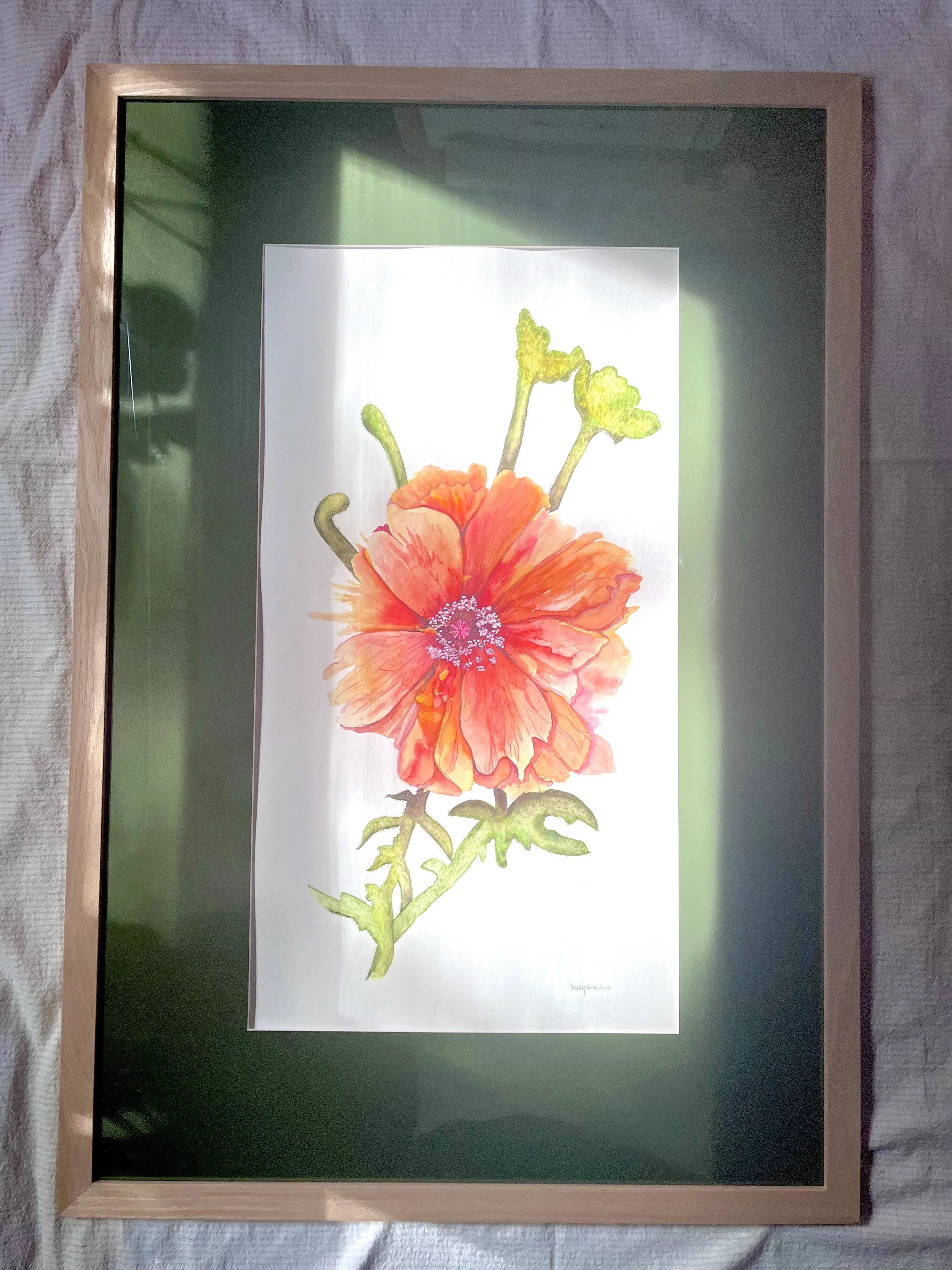Poppy No. 1
